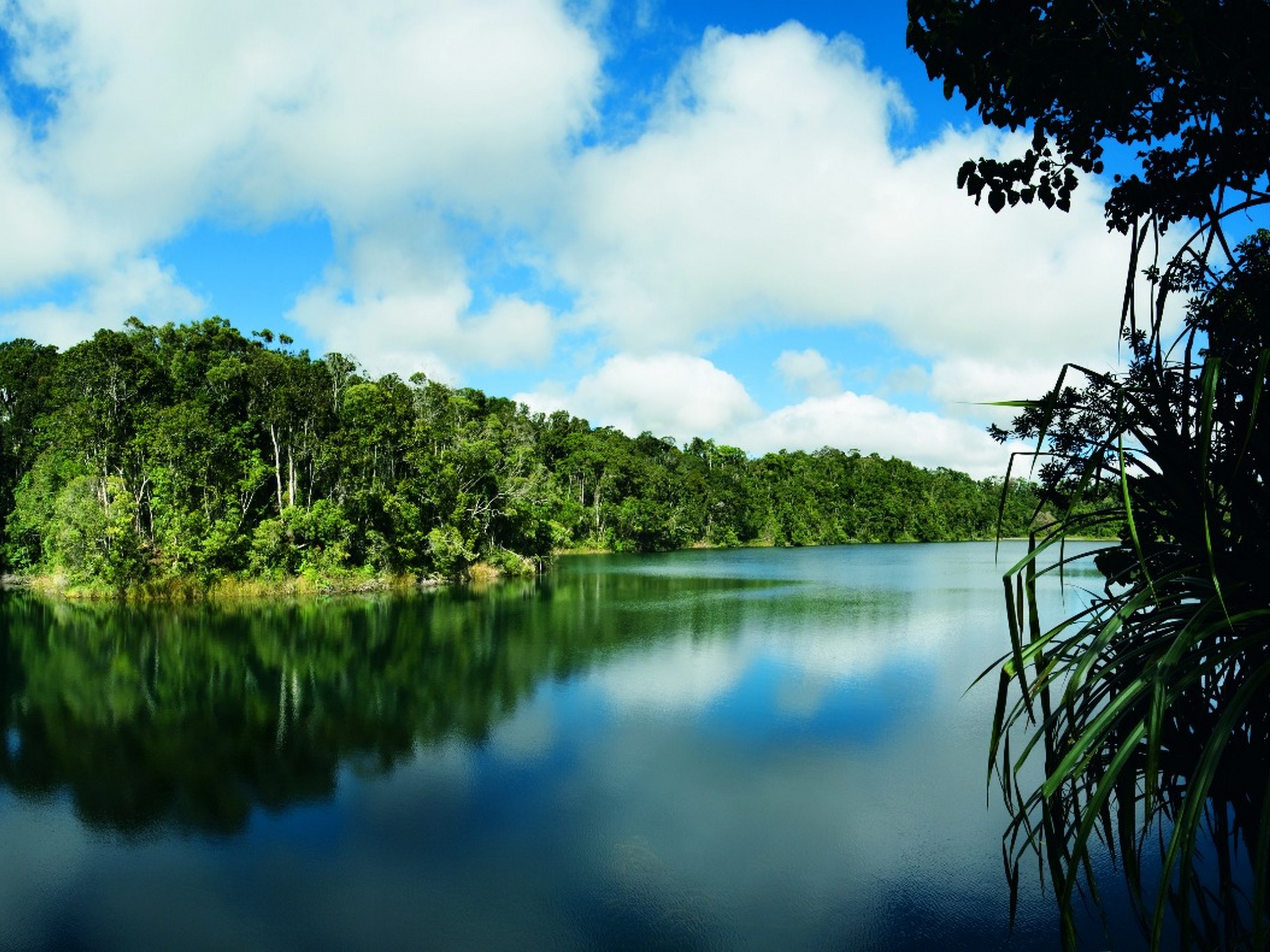 Wildlife Photography Tour in Queensland, Australia 07