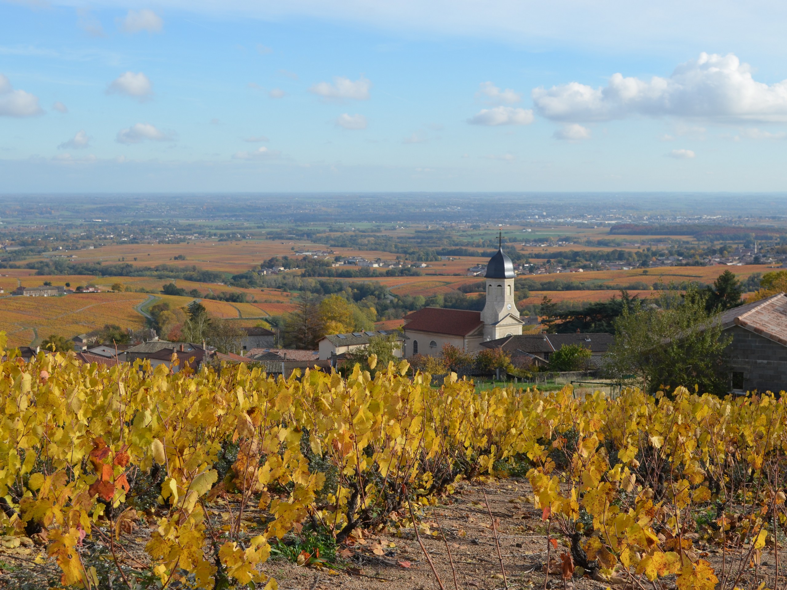 Self-guided Beaujolais Bike Tour in France 51