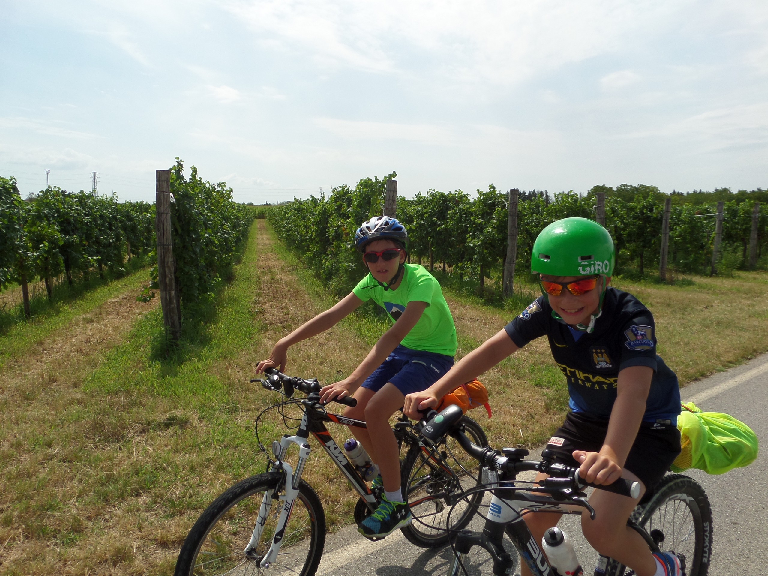 Couple biking in the vineyards of South Tyrol
