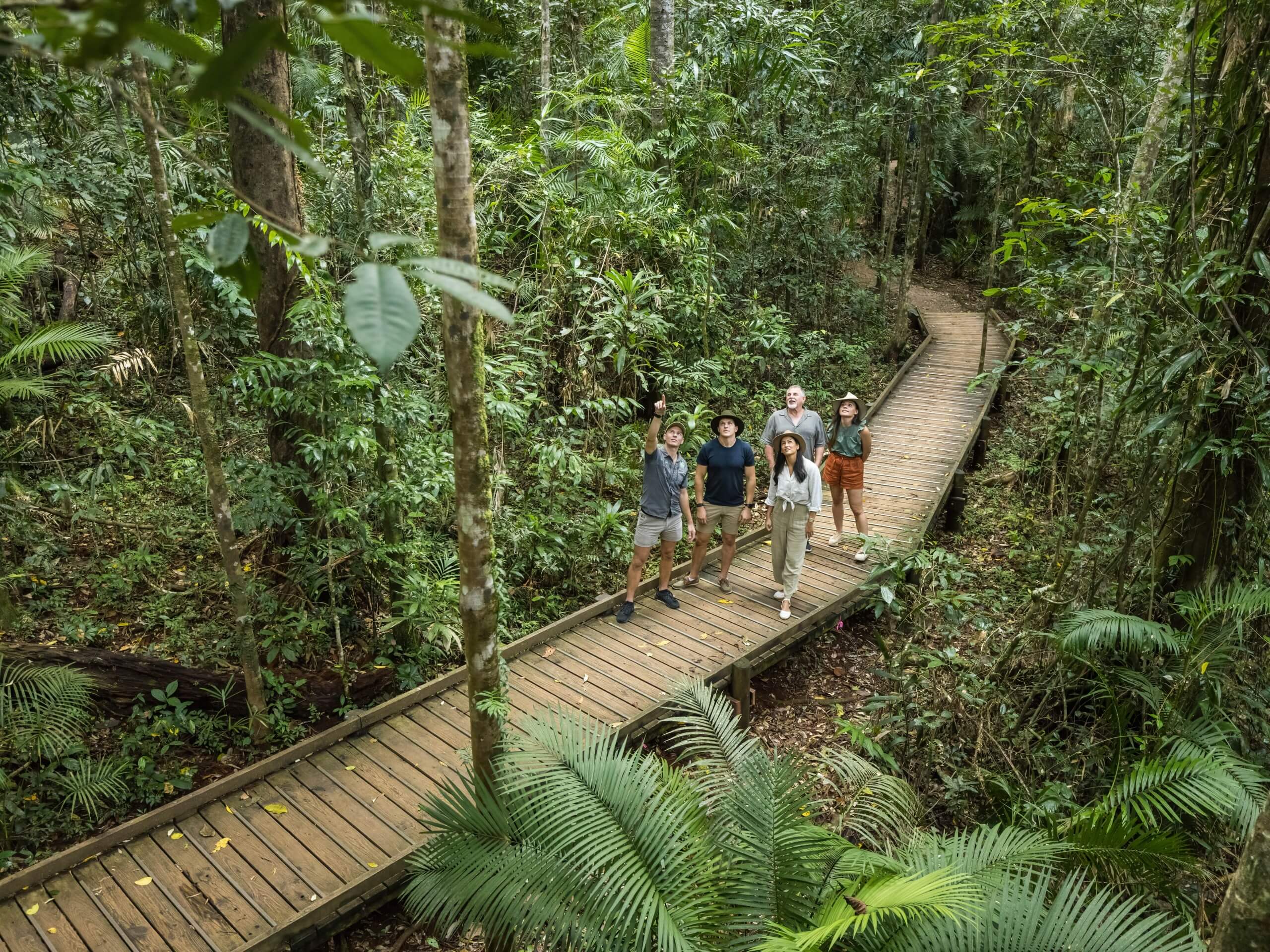 Wildlife watching in Queensland, Australia 13