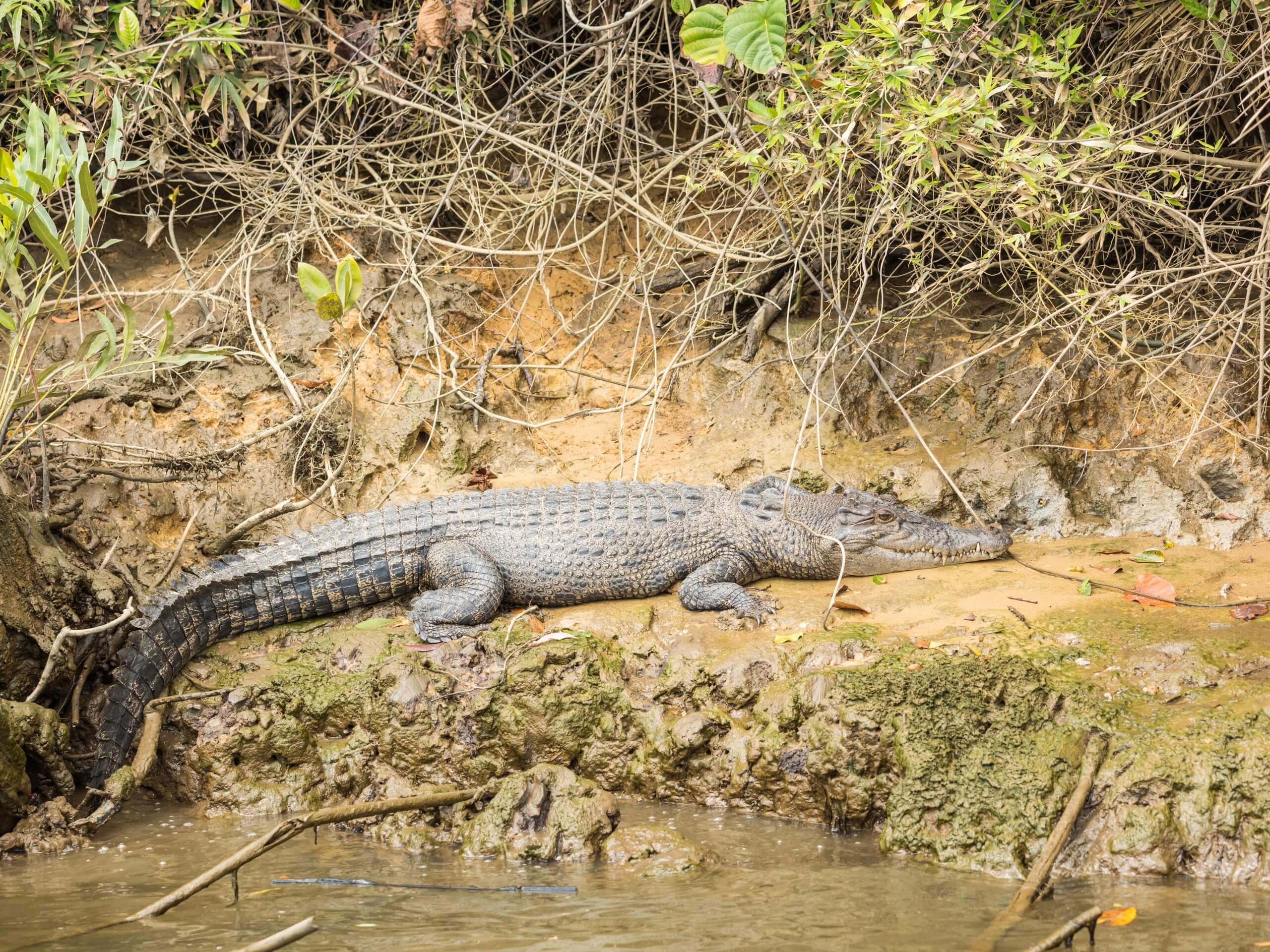 Wildlife Photography Tour in Queensland, Australia 12