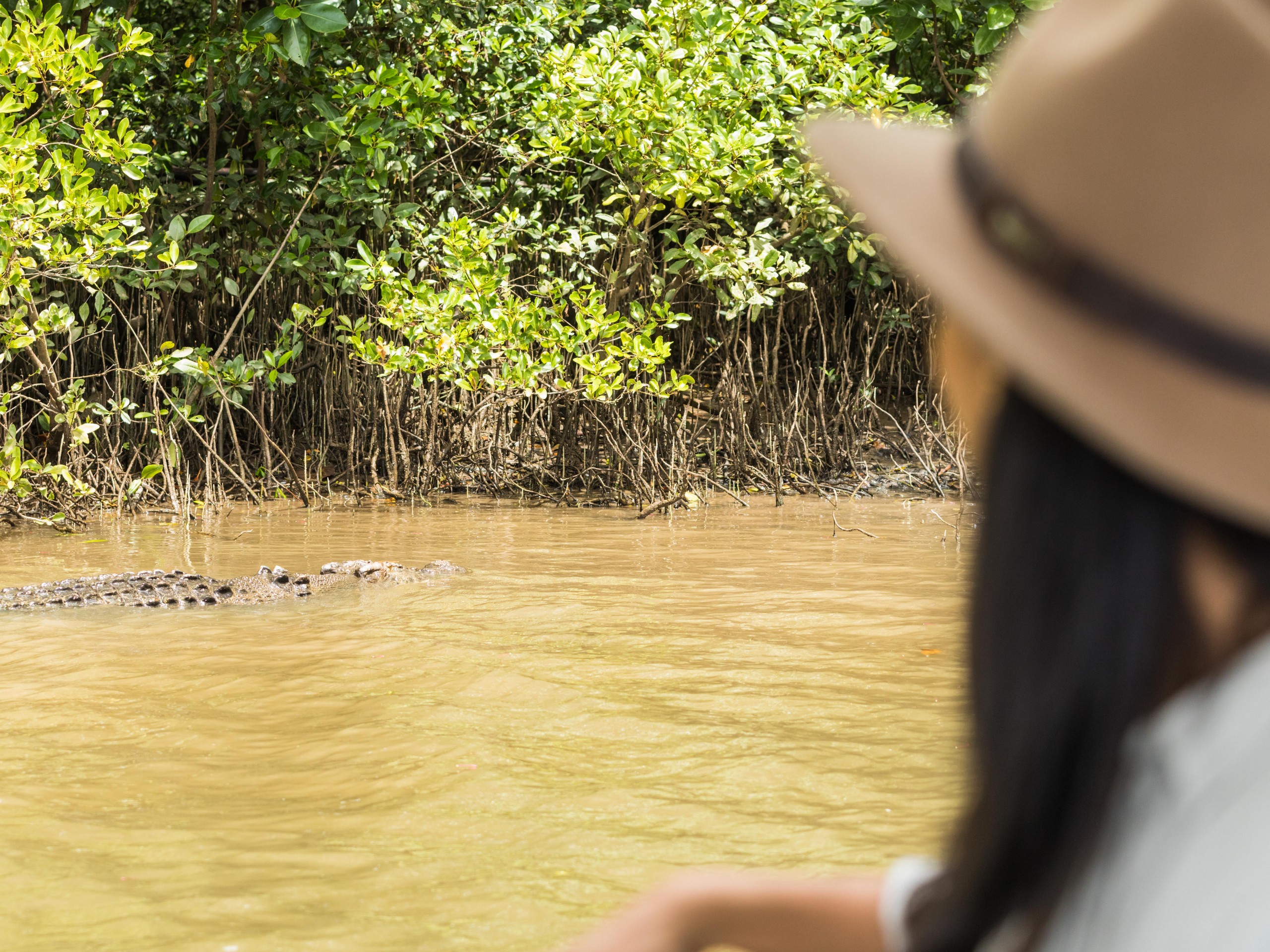 Wildlife Photography Tour in Queensland, Australia 13