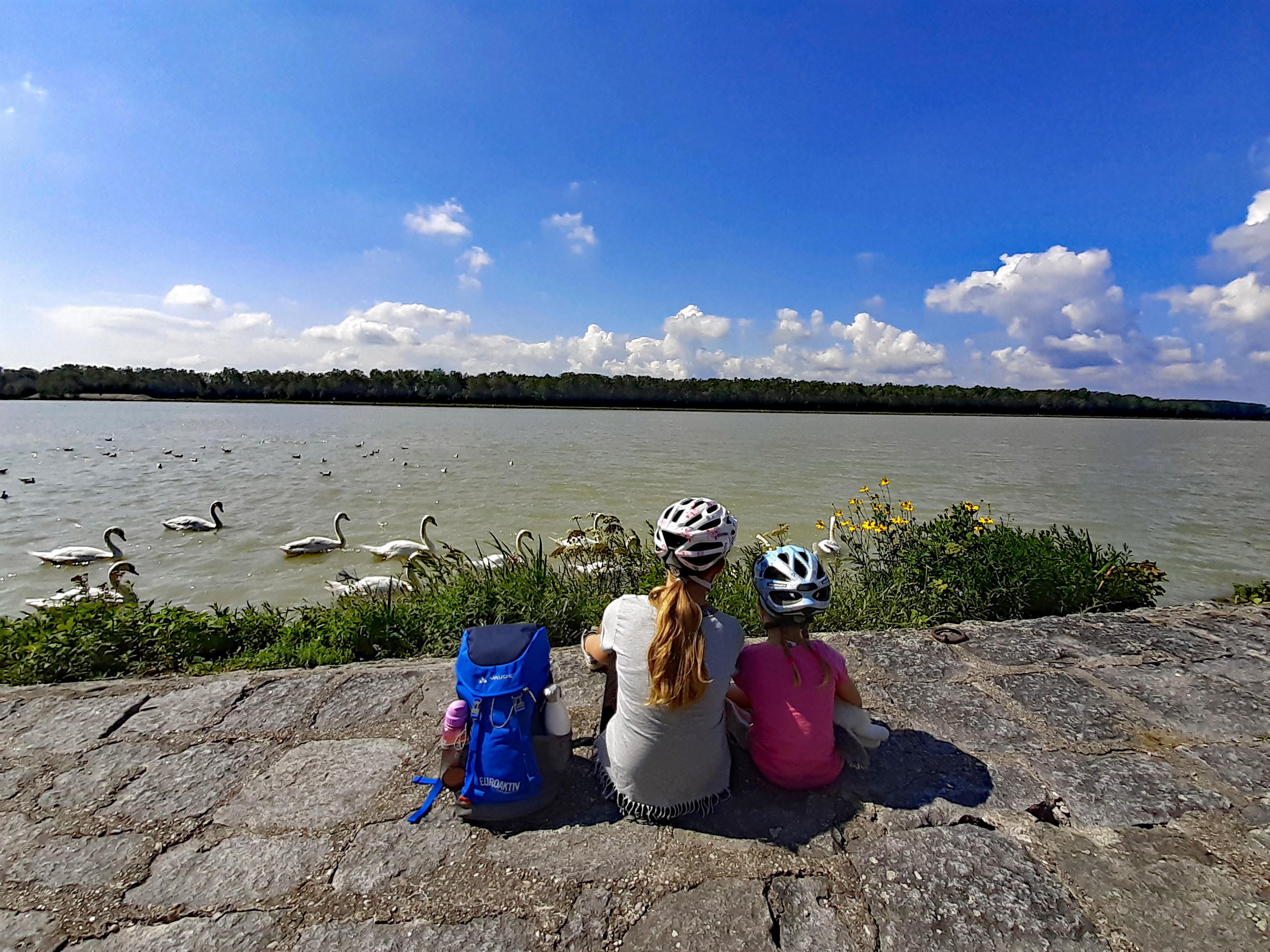 Mother and daugter looking at swans swimming in Danube river