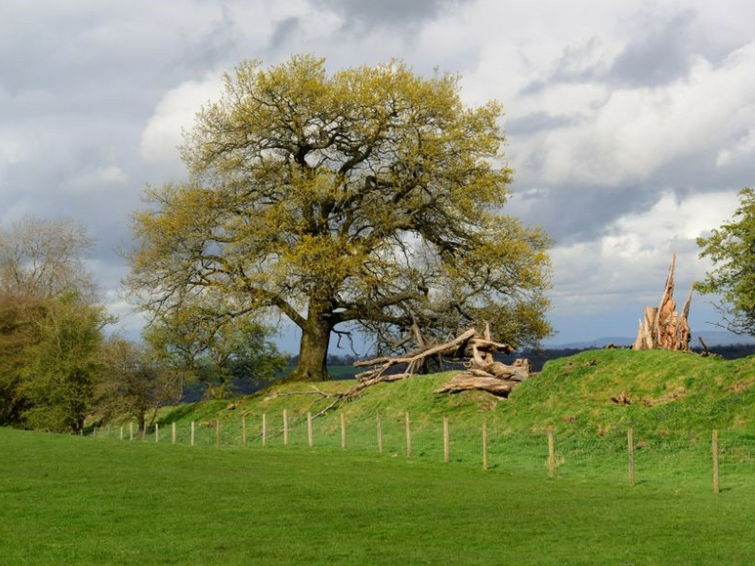 Offa's Dyke Walking in Wales 2