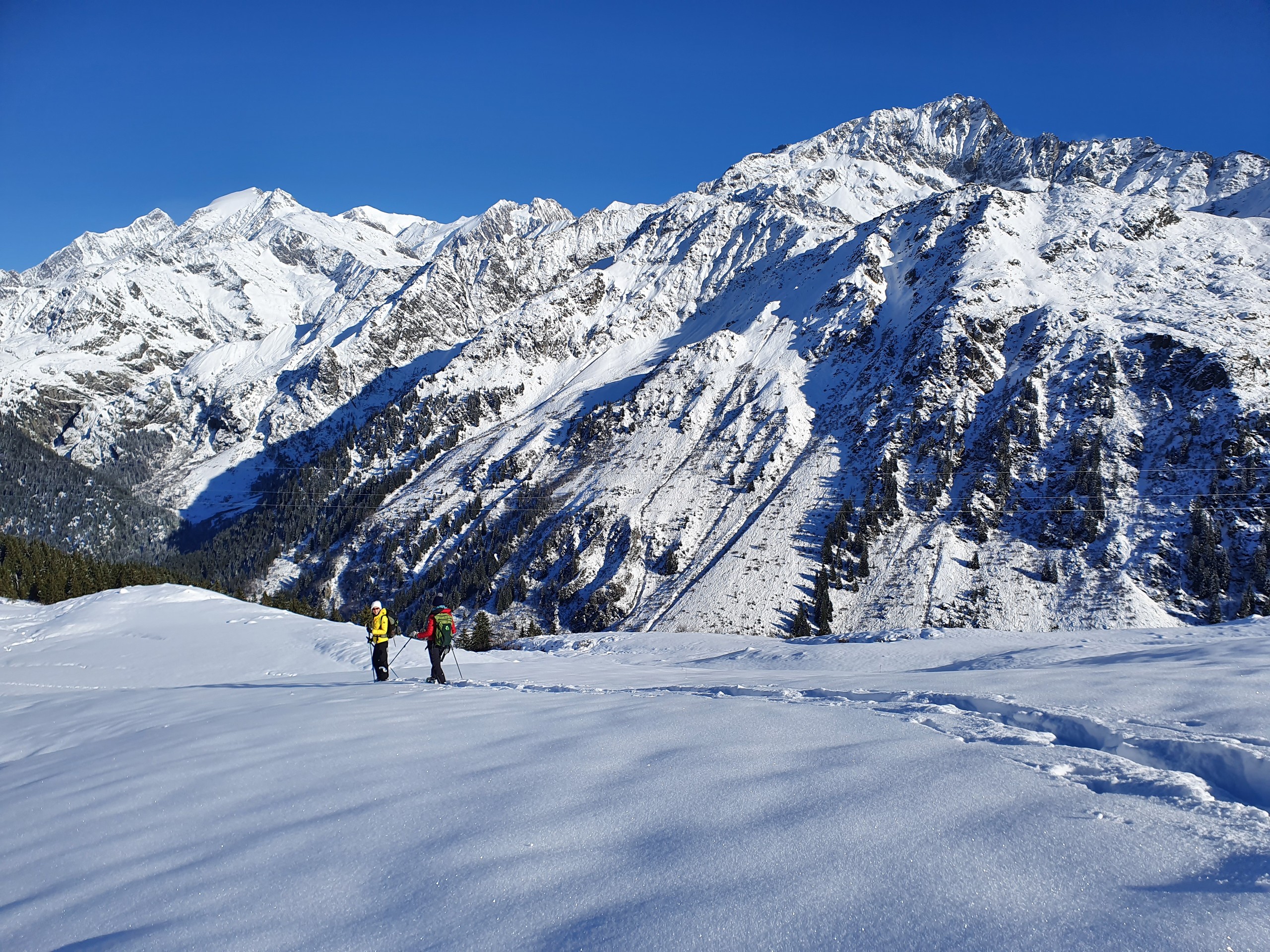 Snowshoers walking in the Mont Blanc region in France