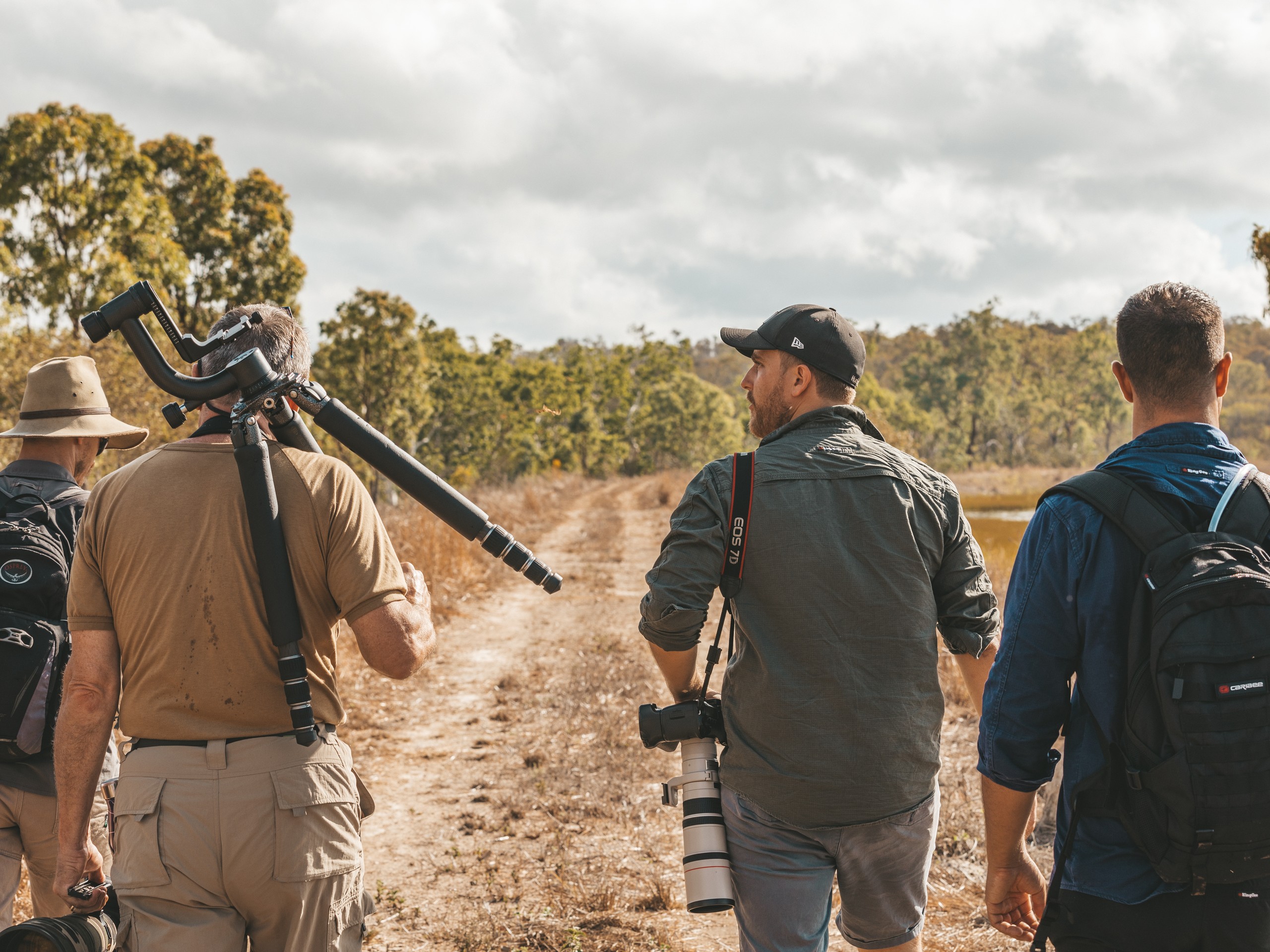 Birdwatching in North Queensland with a guided group 03