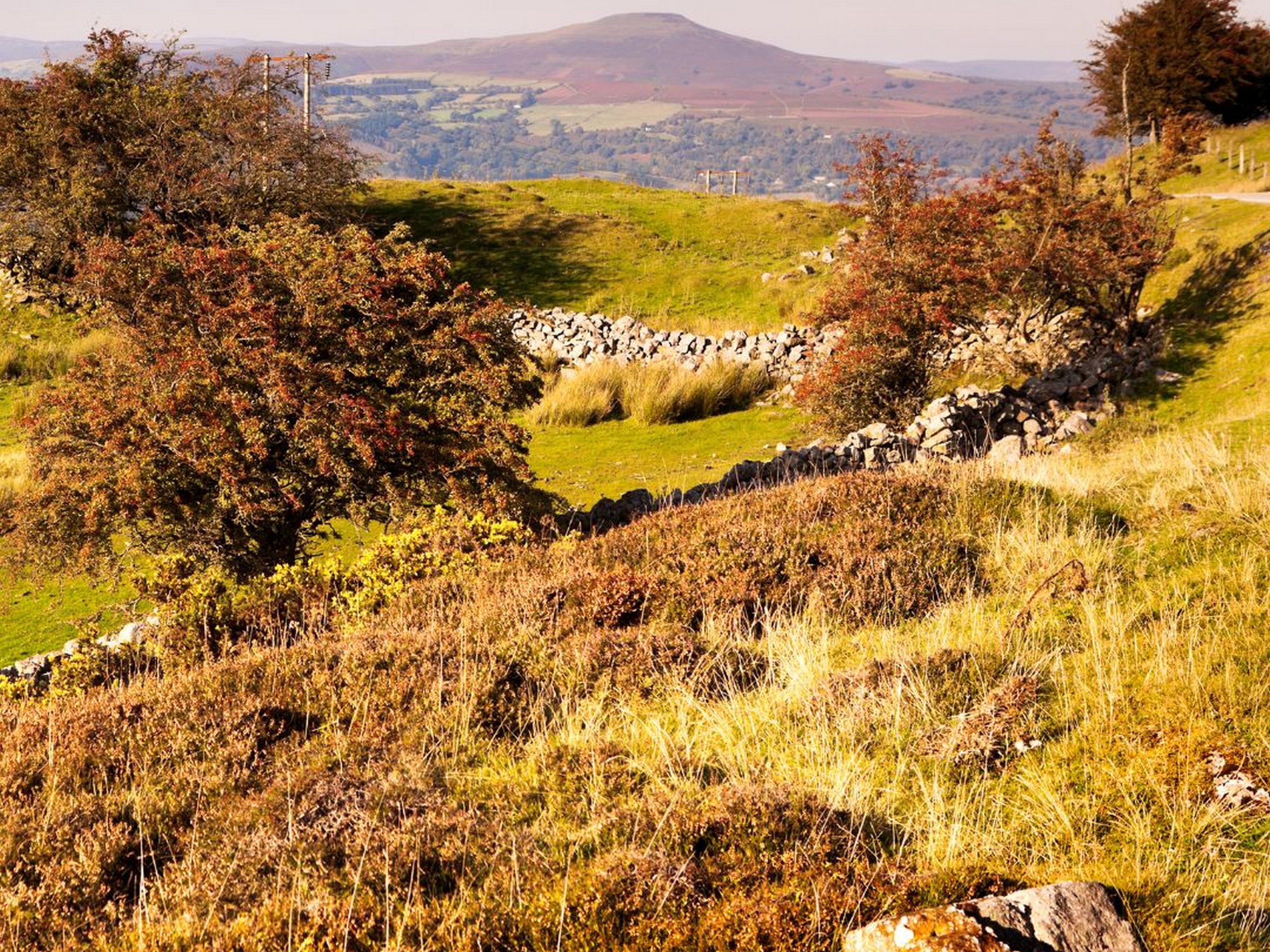 Stunning Welsh countryside