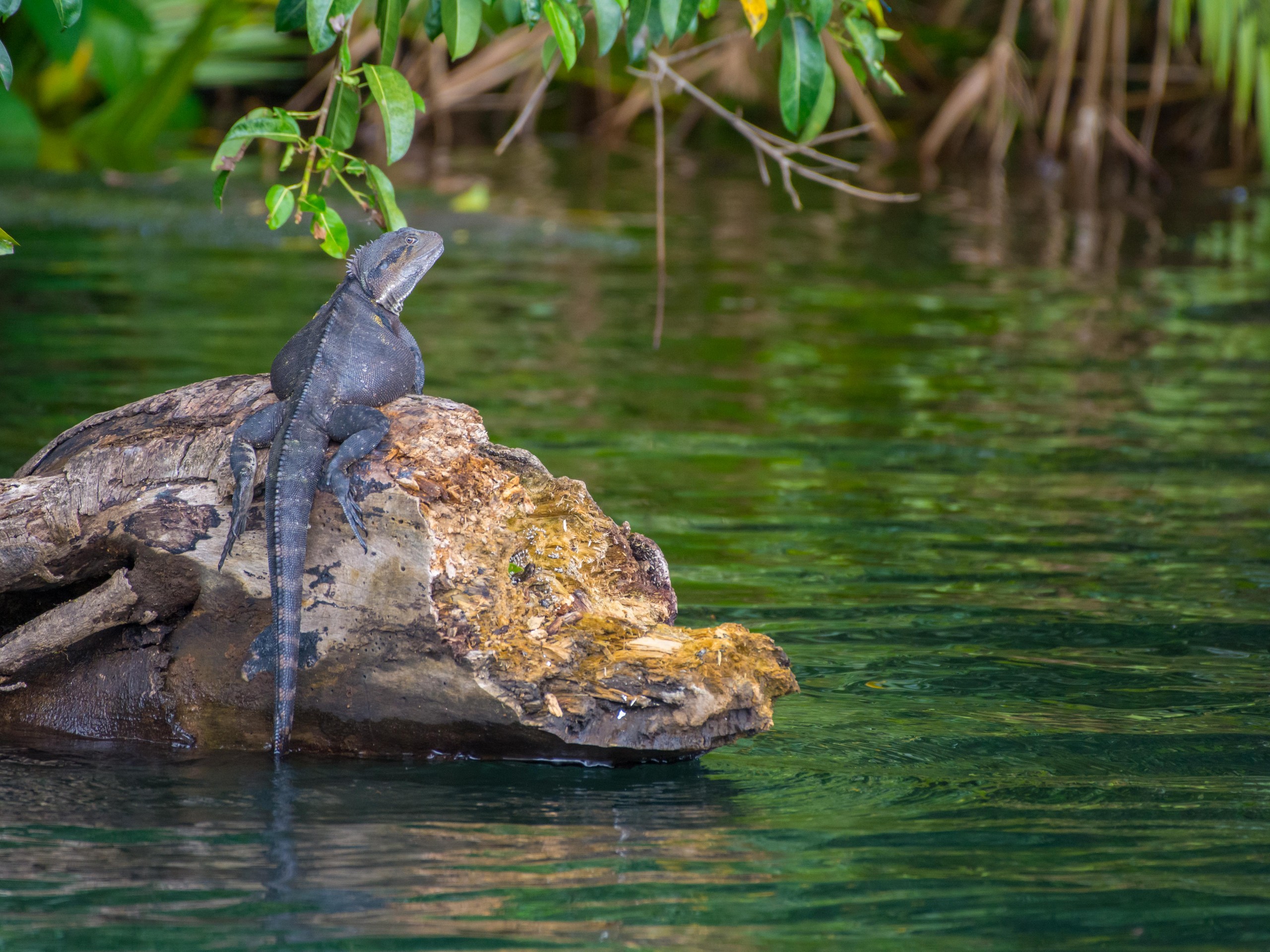 Wildlife Photography Tour in Queensland, Australia 23