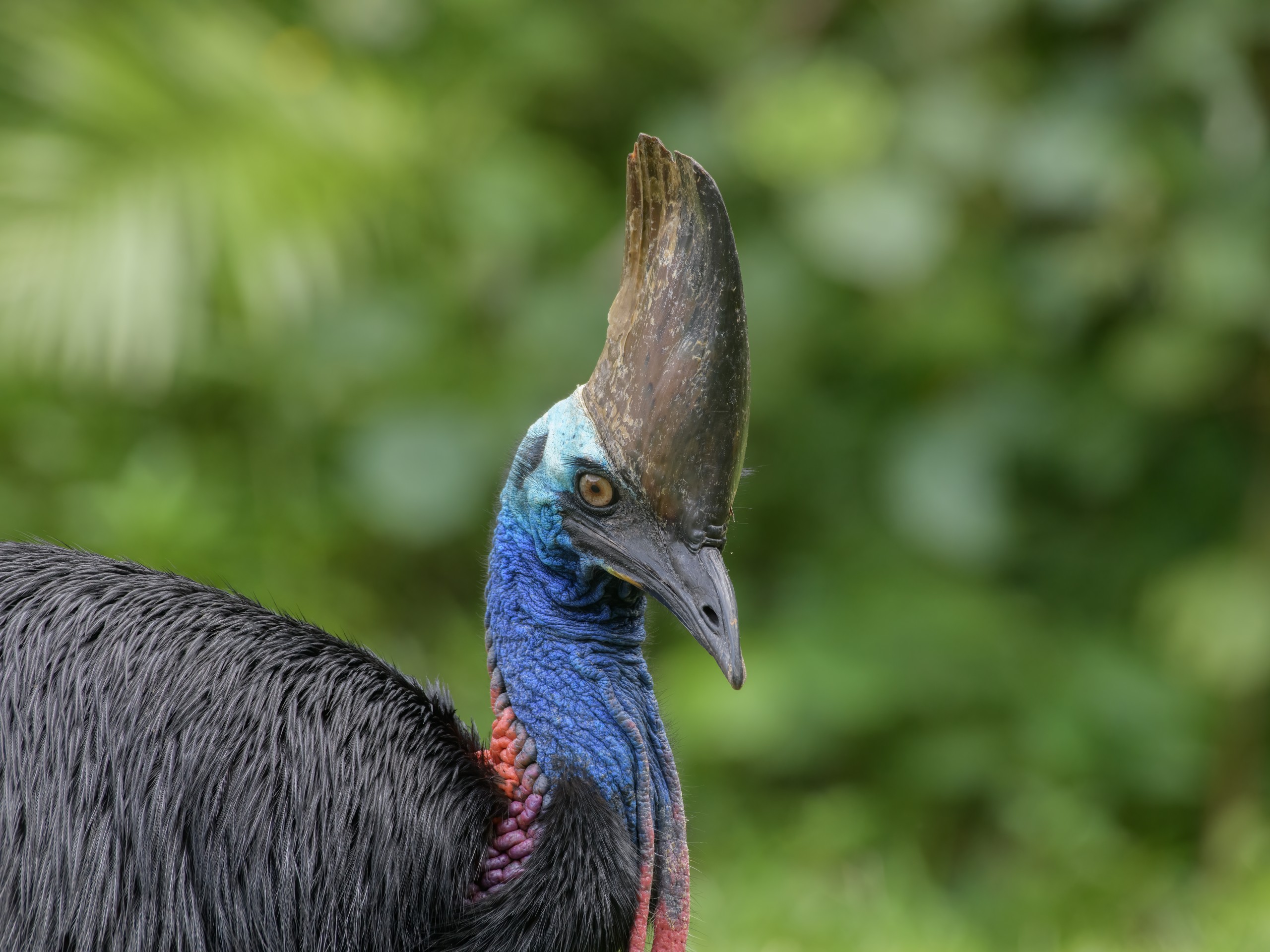 Wildlife Photography Tour in Queensland, Australia 26Wildlife Photography Tour in Queensland, Australia 27