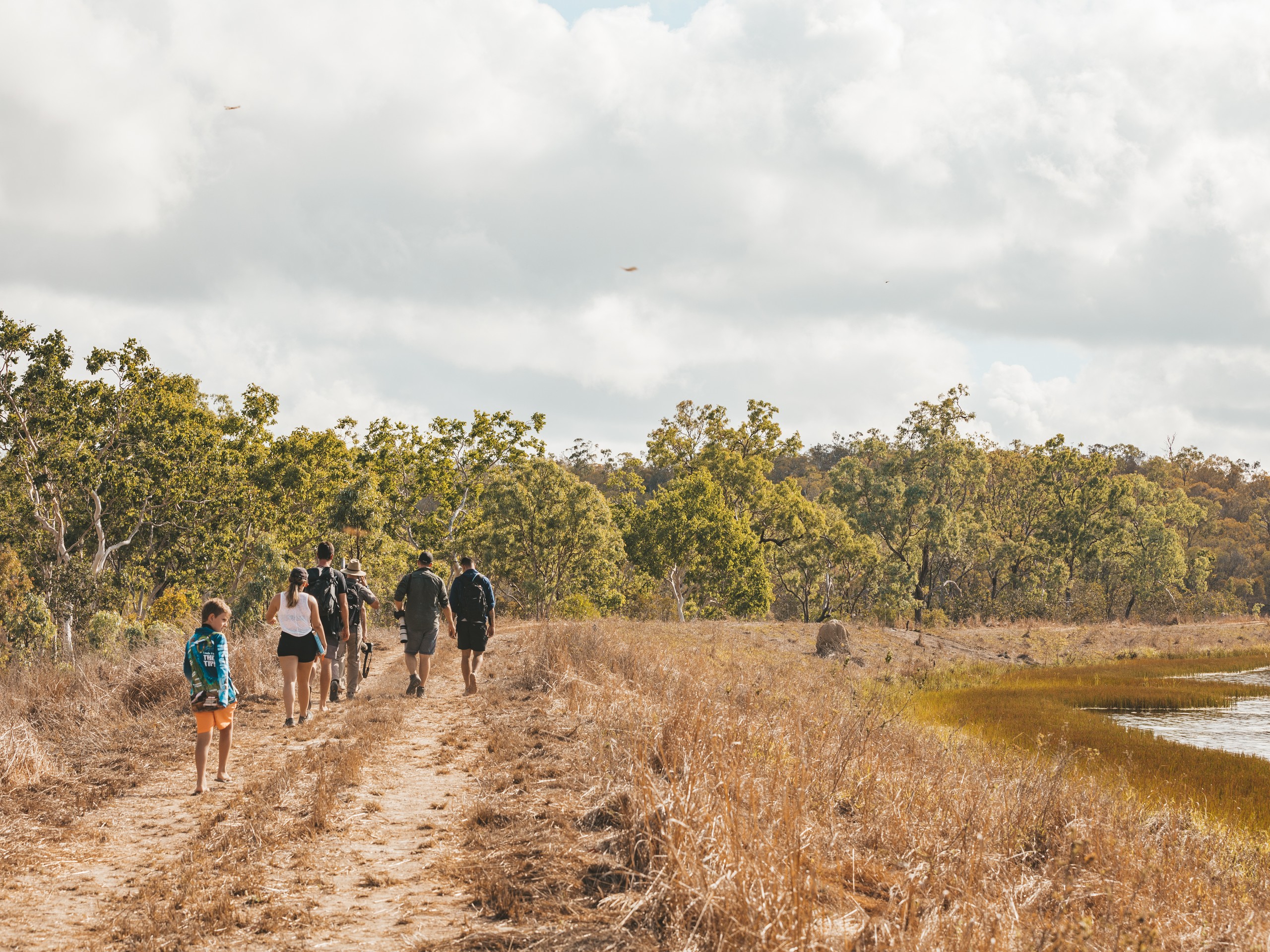 Birdwatching in North Queensland with a guided group 04