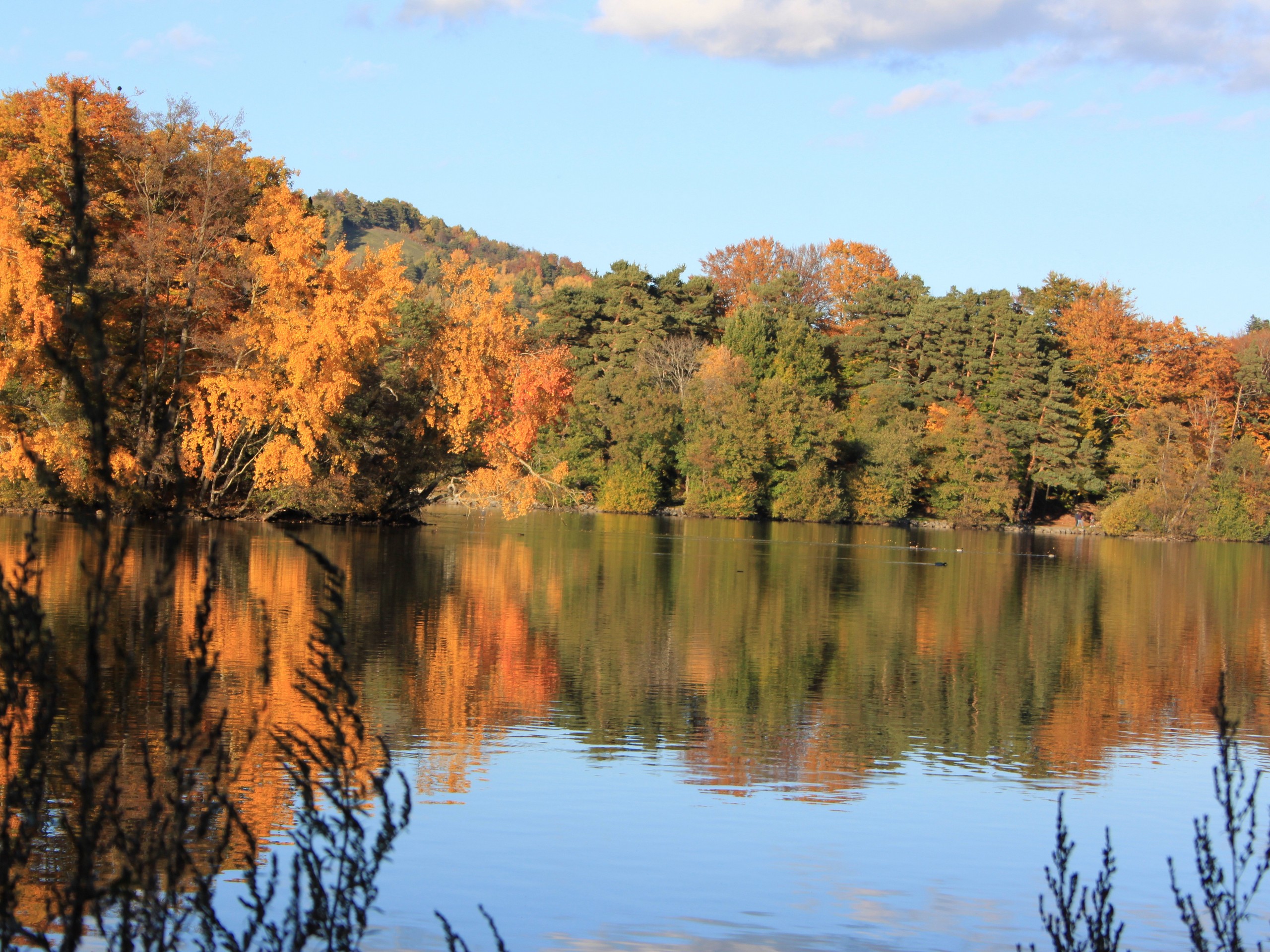 Lake with autumn colors, Ecrins, France