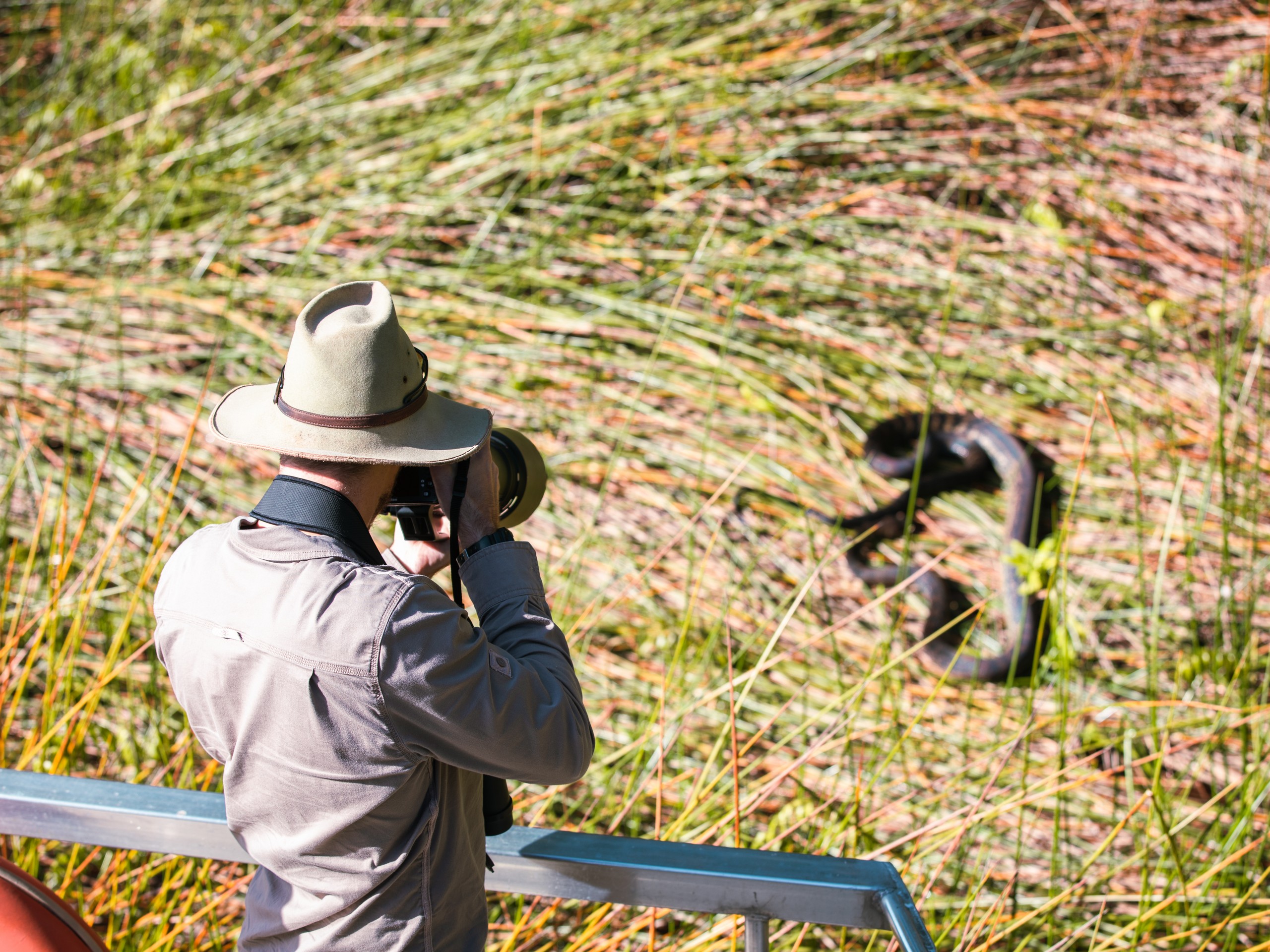 Wildlife Photography Tour in Queensland, Australia 02