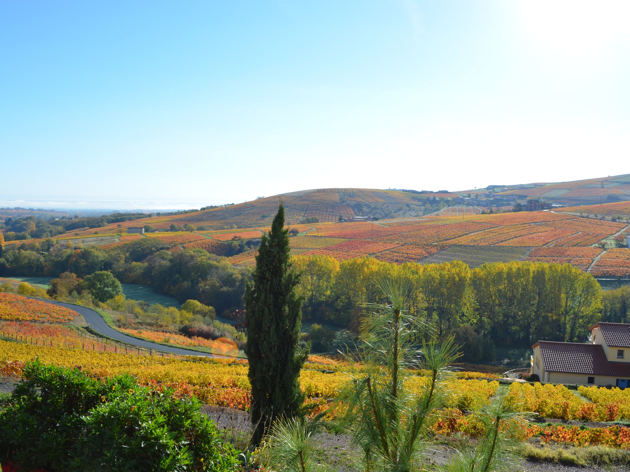 Self-guided Beaujolais Bike Tour in France 24