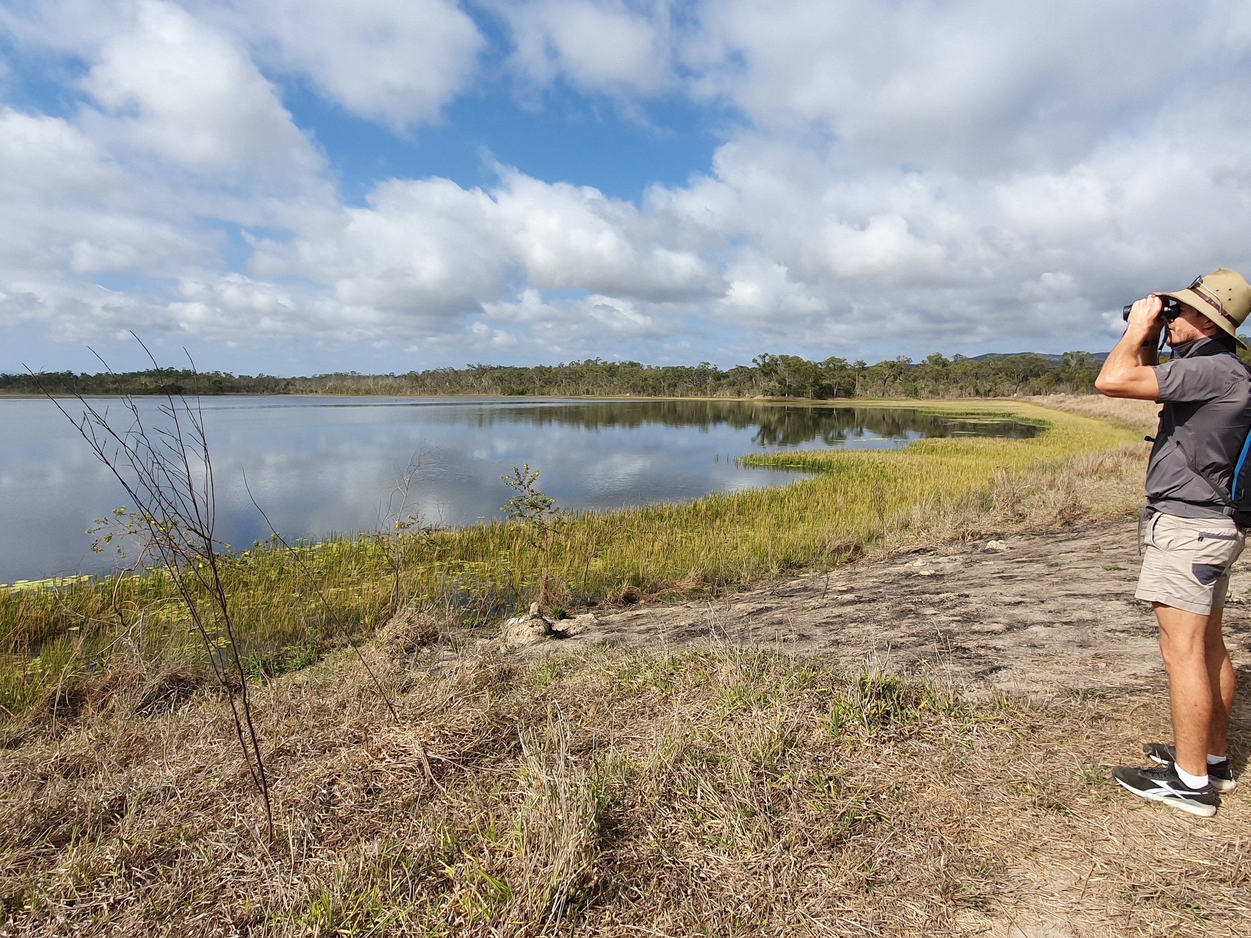 Birdwatching in North Queensland with a guided group 05