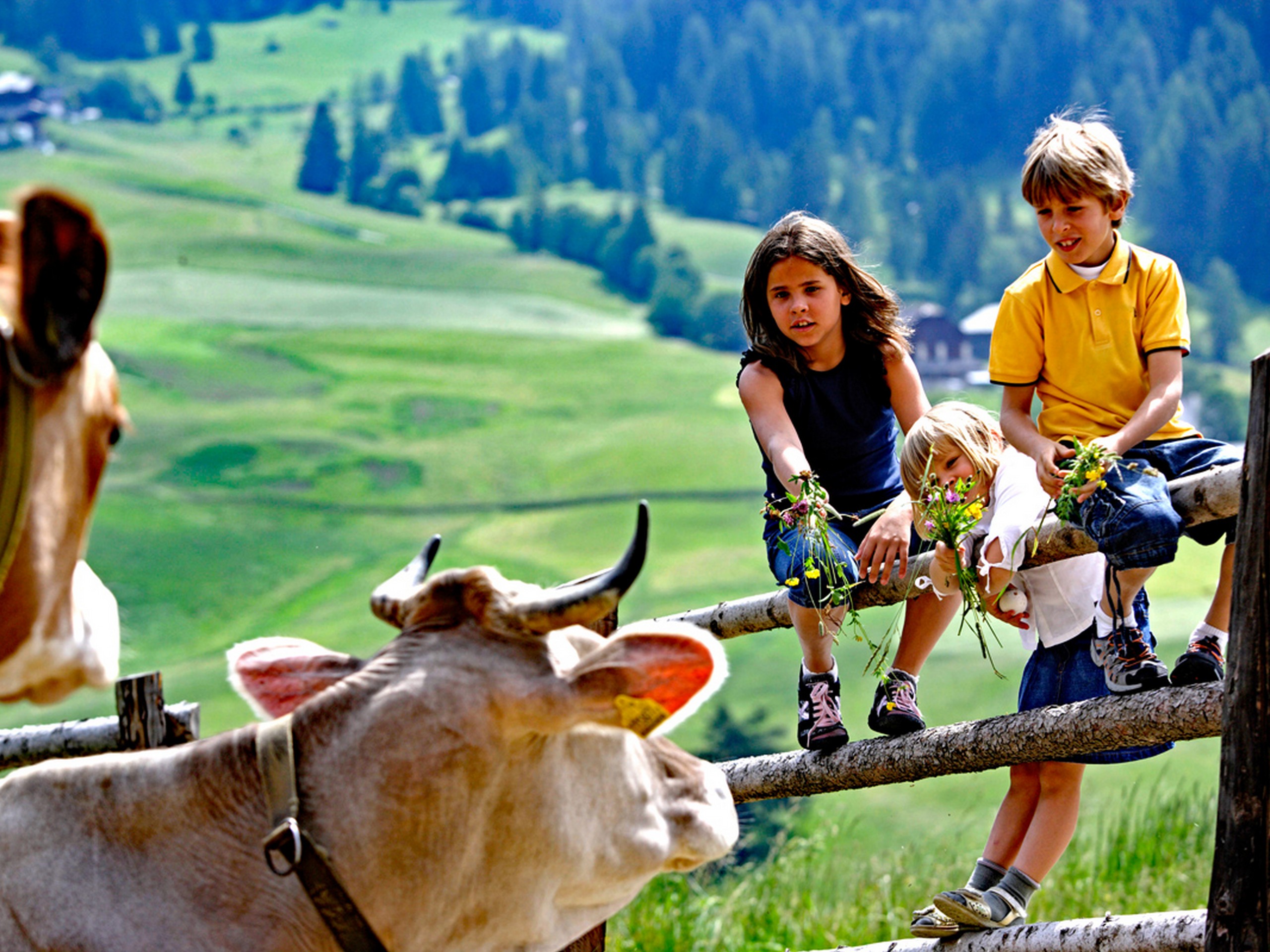Family in South Tyrol, cycling on a self-guided trip
