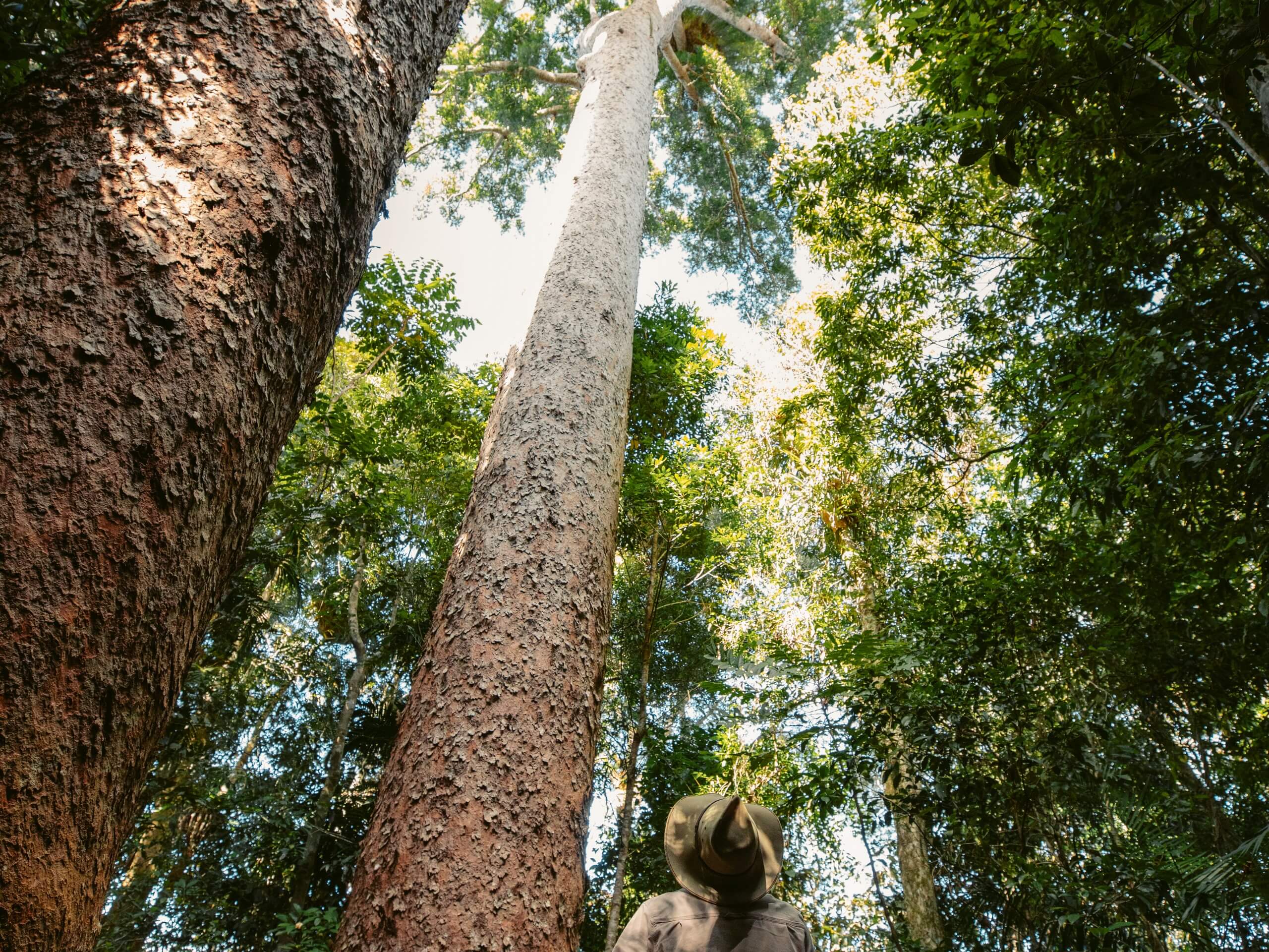 Wildlife Photography Tour in Queensland, Australia 03