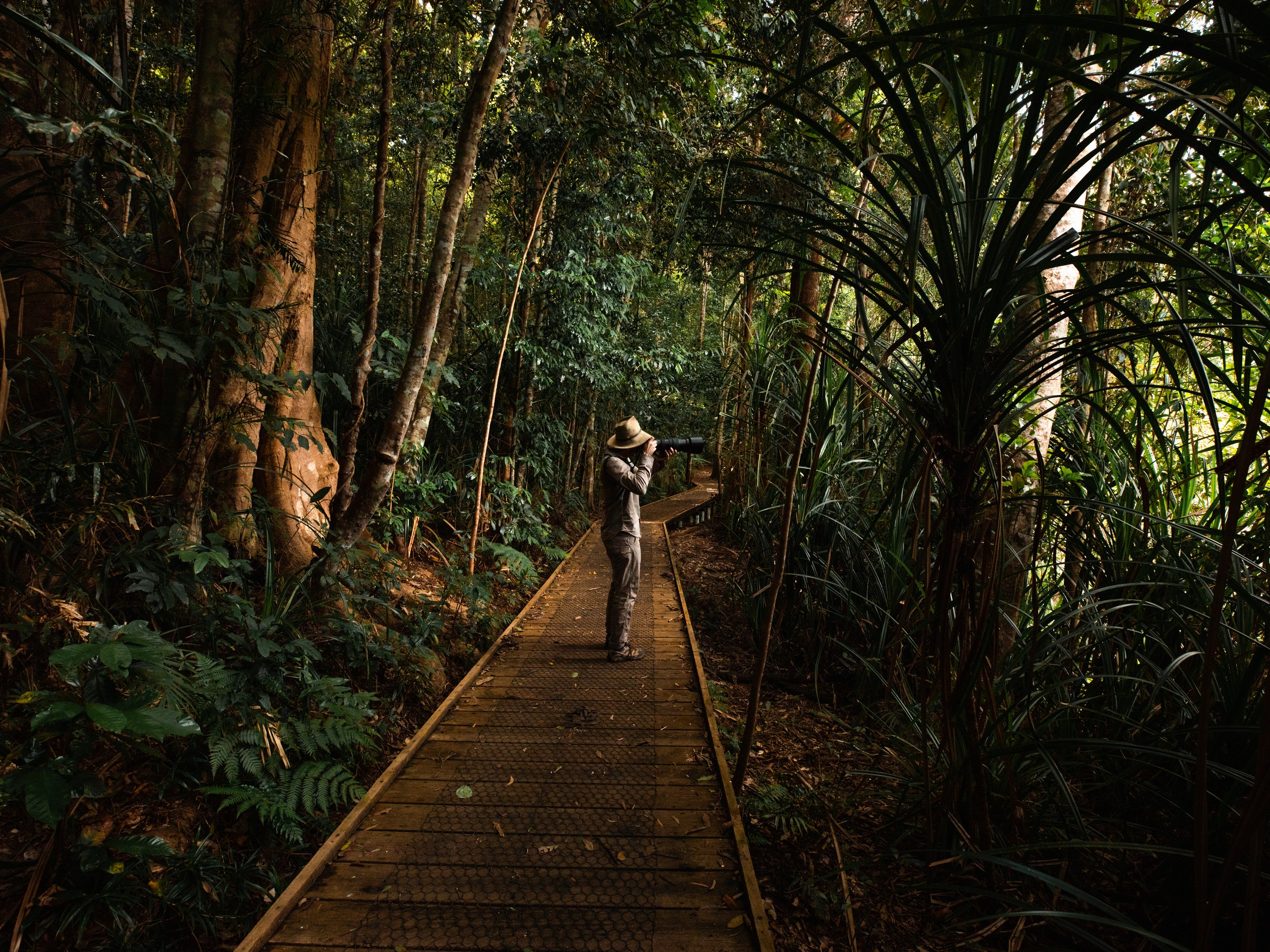 Wildlife Photography Tour in Queensland, Australia 04