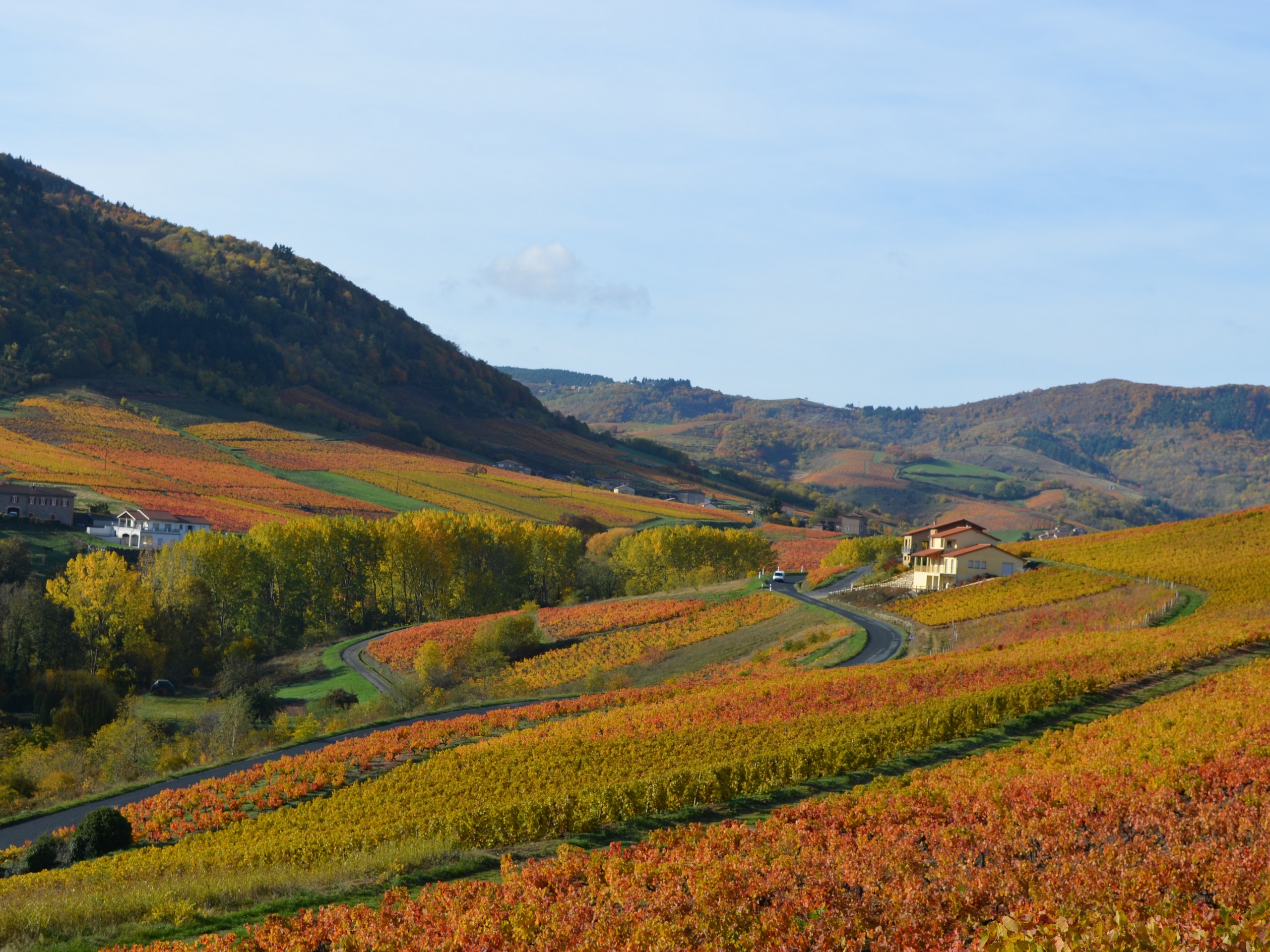 Self-guided Beaujolais Bike Tour in France 34