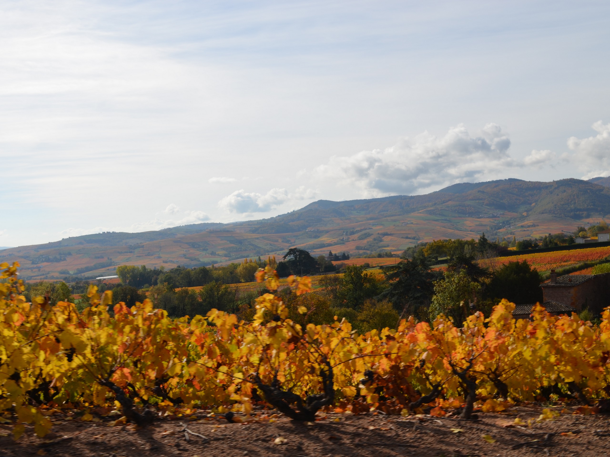 Self-guided Beaujolais Bike Tour in France 43