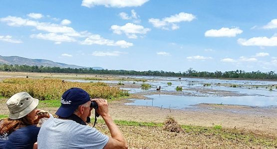 North Queensland Birdwatching Tour