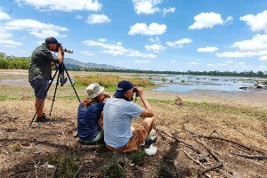 North Queensland Birdwatching Tour