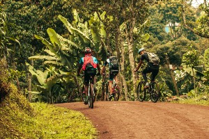 Chagga Village Cycling Tour