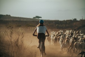 Kilimanjaro Guided Bike Tour