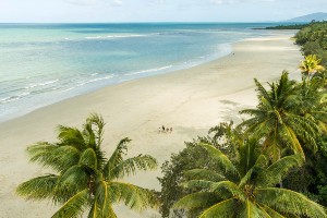 Queensland Wildlife Photography Tour