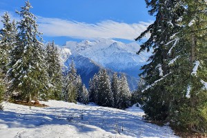 Mont Blanc Snowshoeing Tour