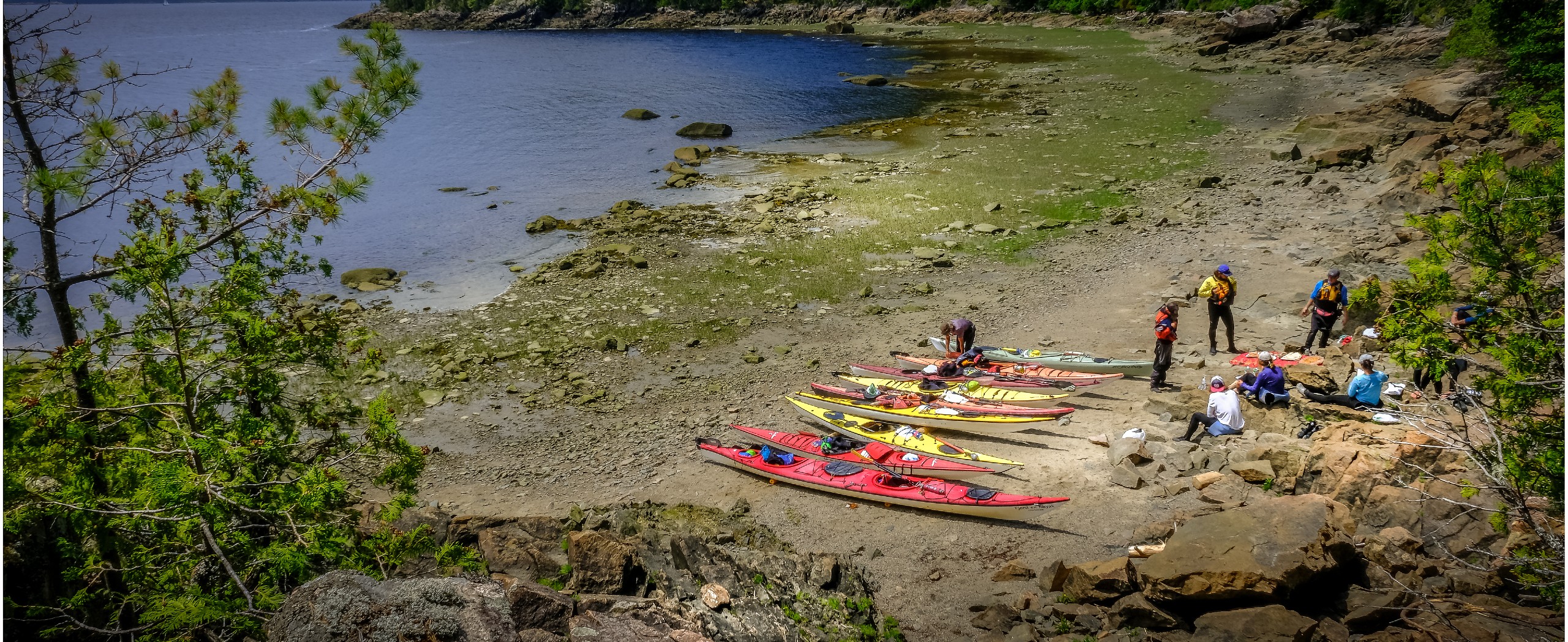 Saguenay Fjord Beginner Sea Kayaking Tour