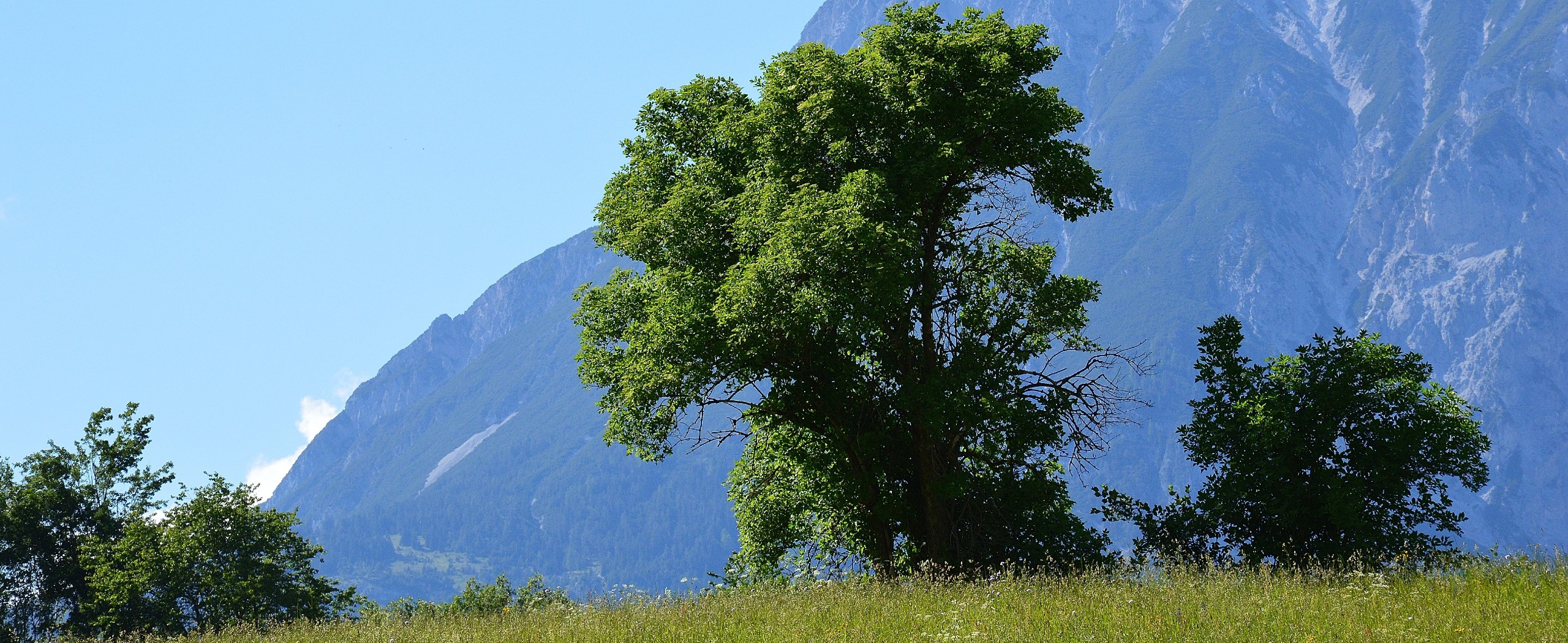 Austrian Tyrol Hiking Tour