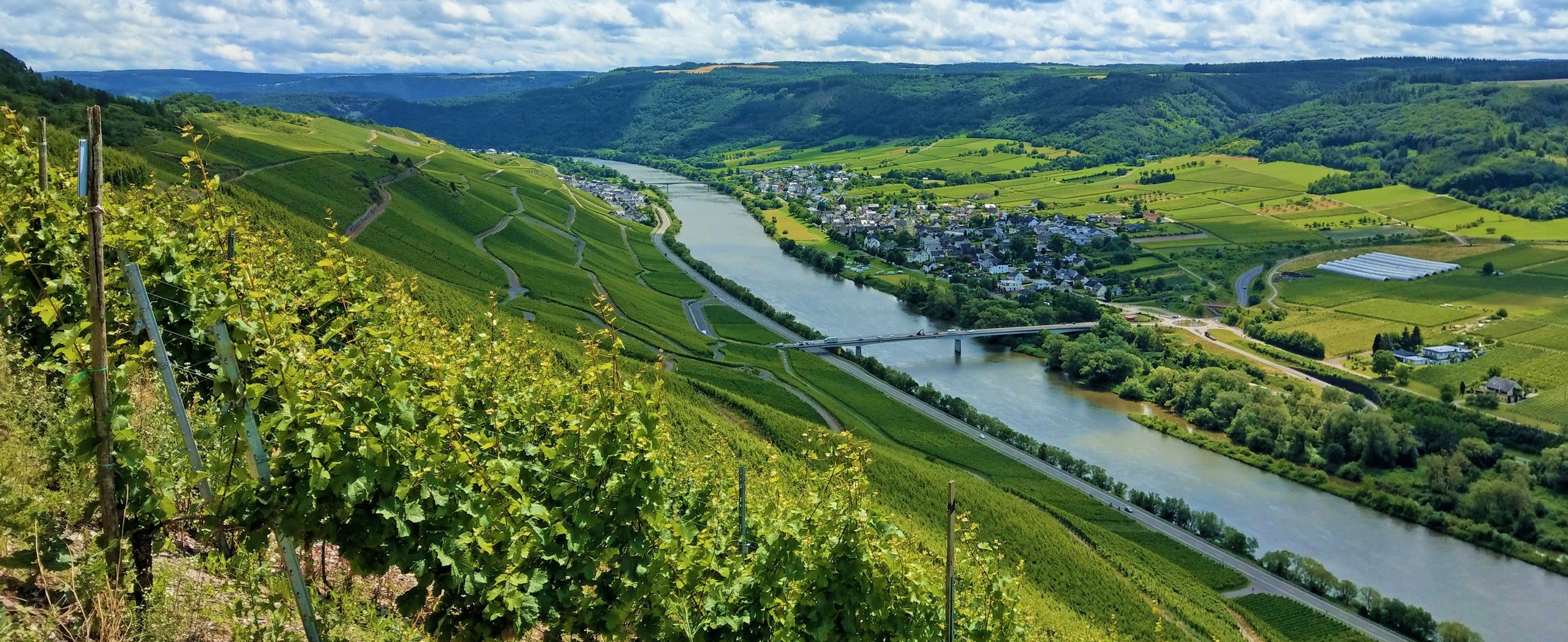 Best of Moselle Trail