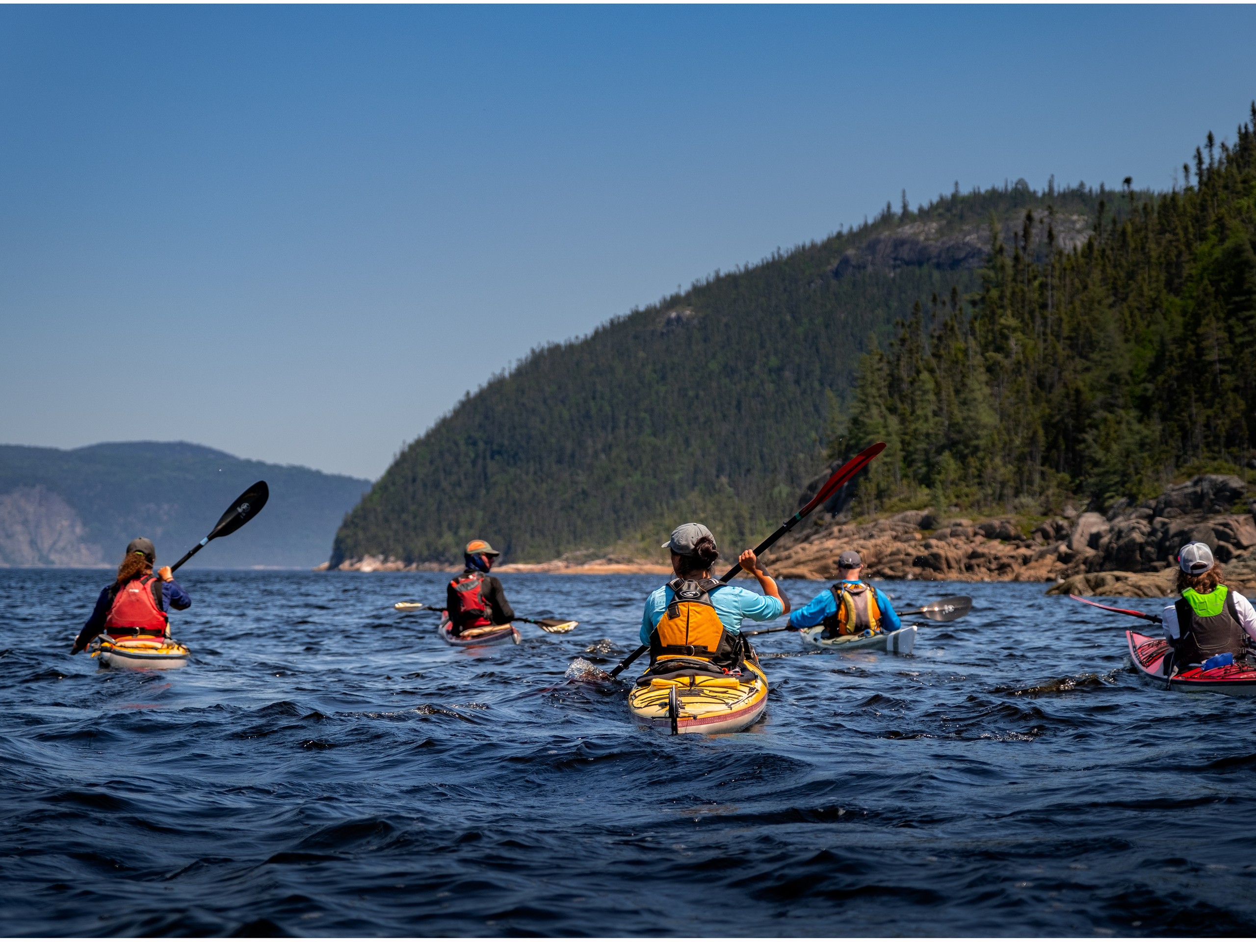 Group kayaking in open waters of Quebec