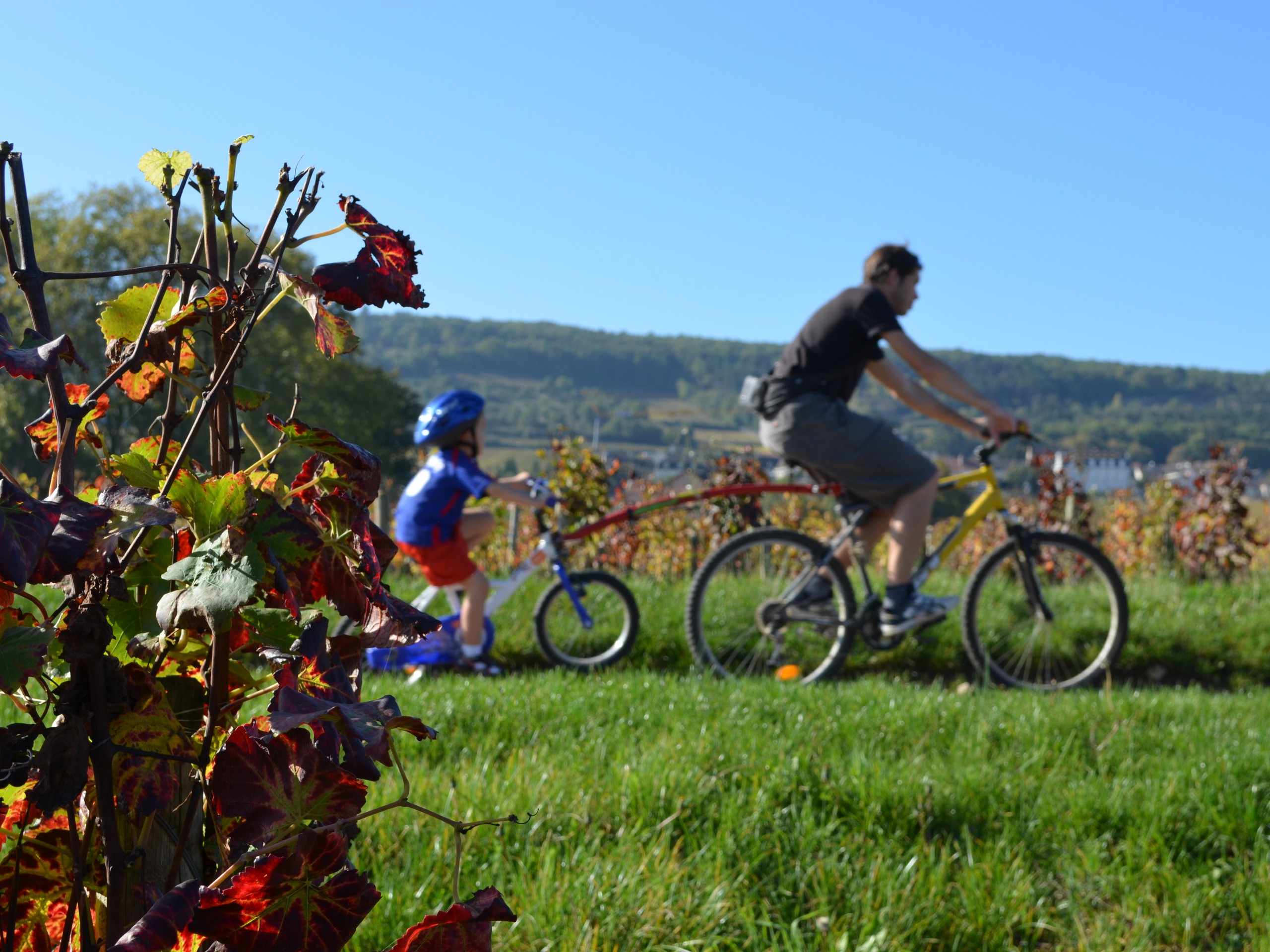 Cycling in Beaune region, Burgundy 42