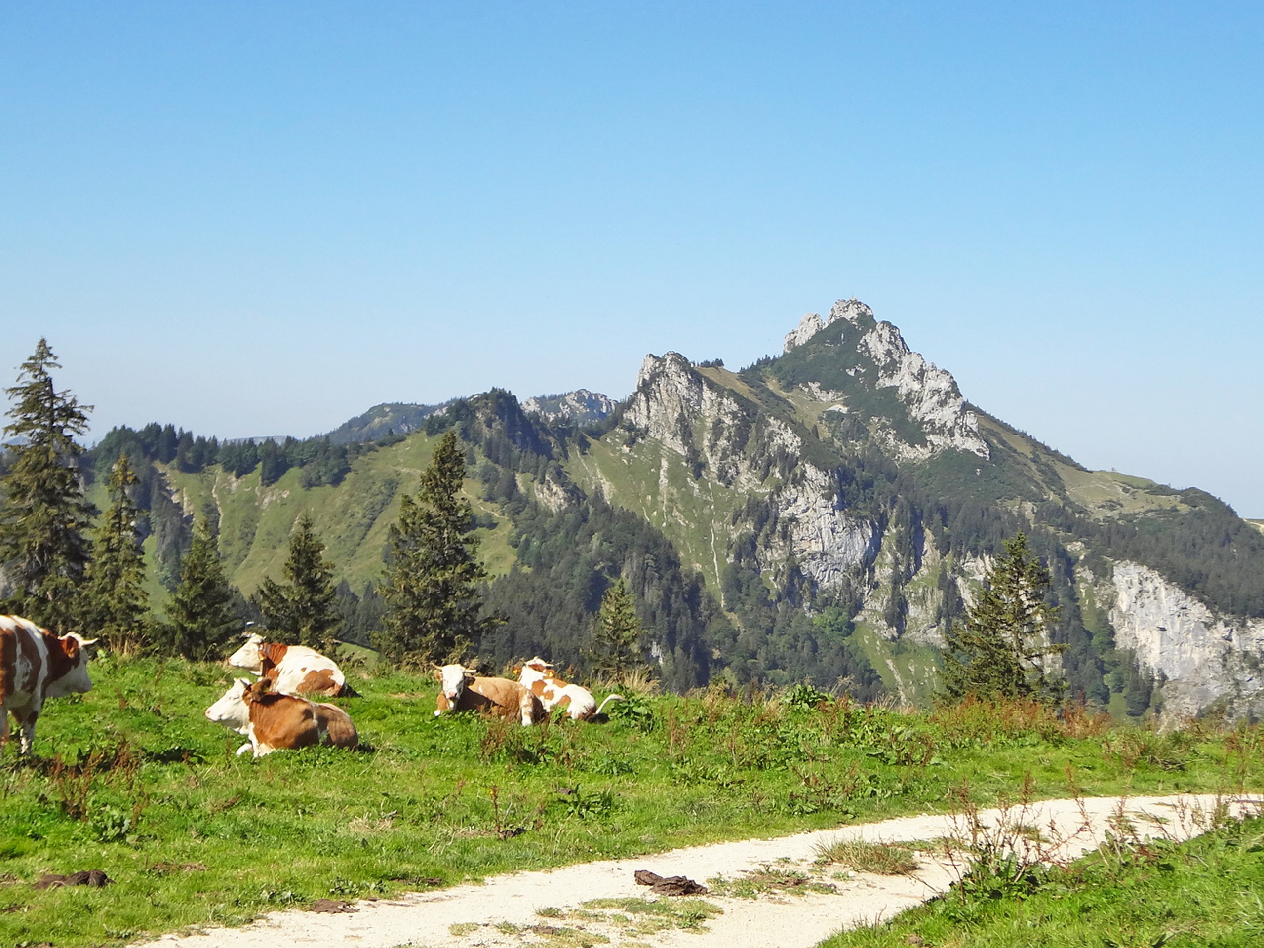 Bavarian and Salzburg Alps Self-guided Hiking Tour eurohike-wanderreisen-bayerische-und-salzburger 11
