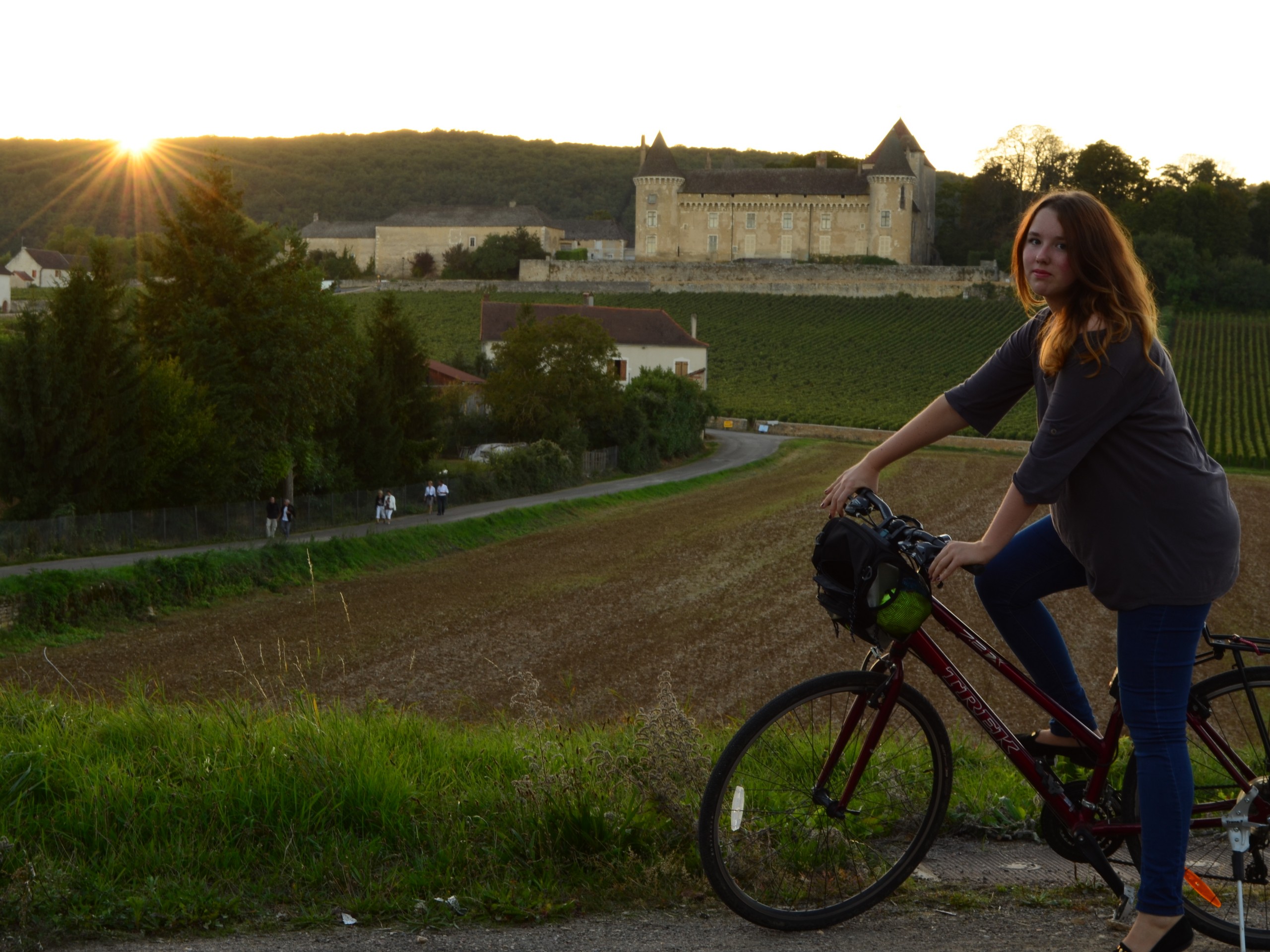Cycling in Beaune region, Burgundy 48