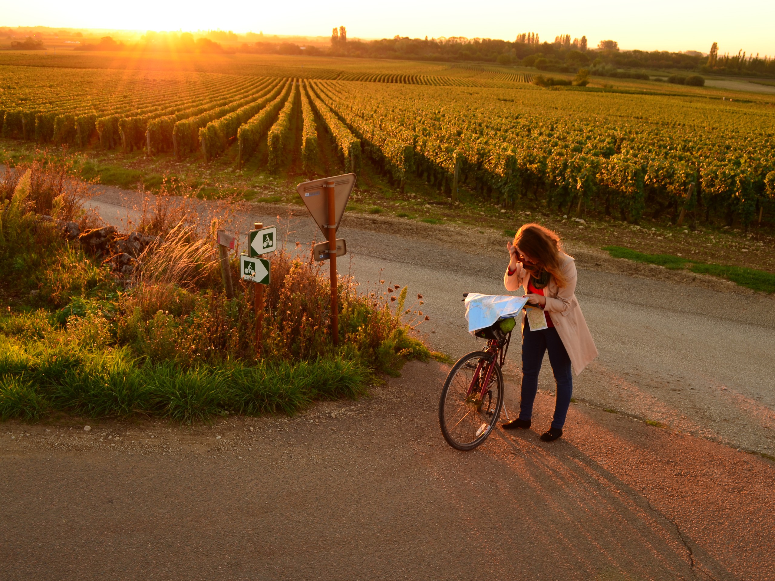 Cycling in Beaune region, Burgundy 50