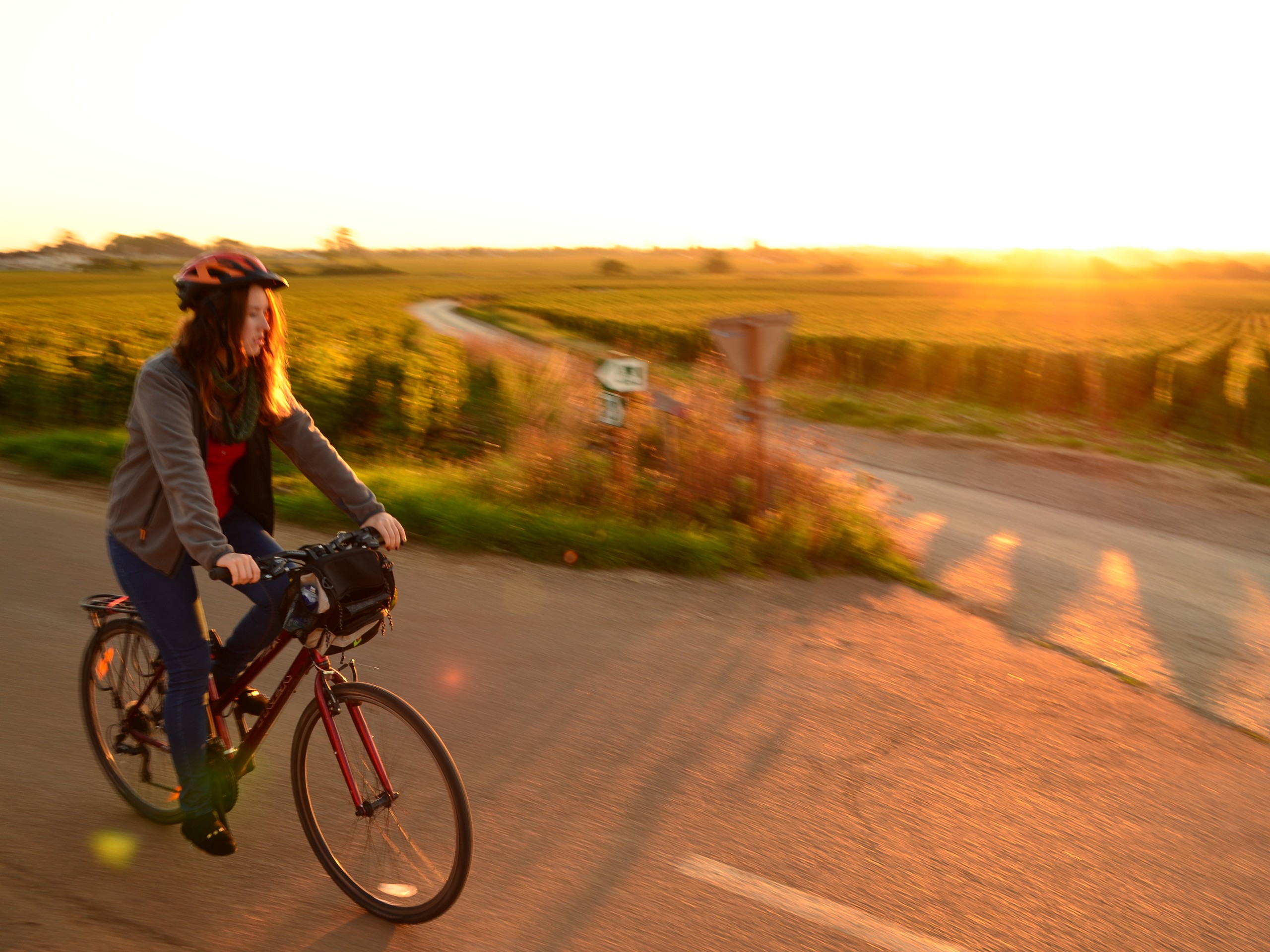 Cycling in Beaune region, Burgundy 51