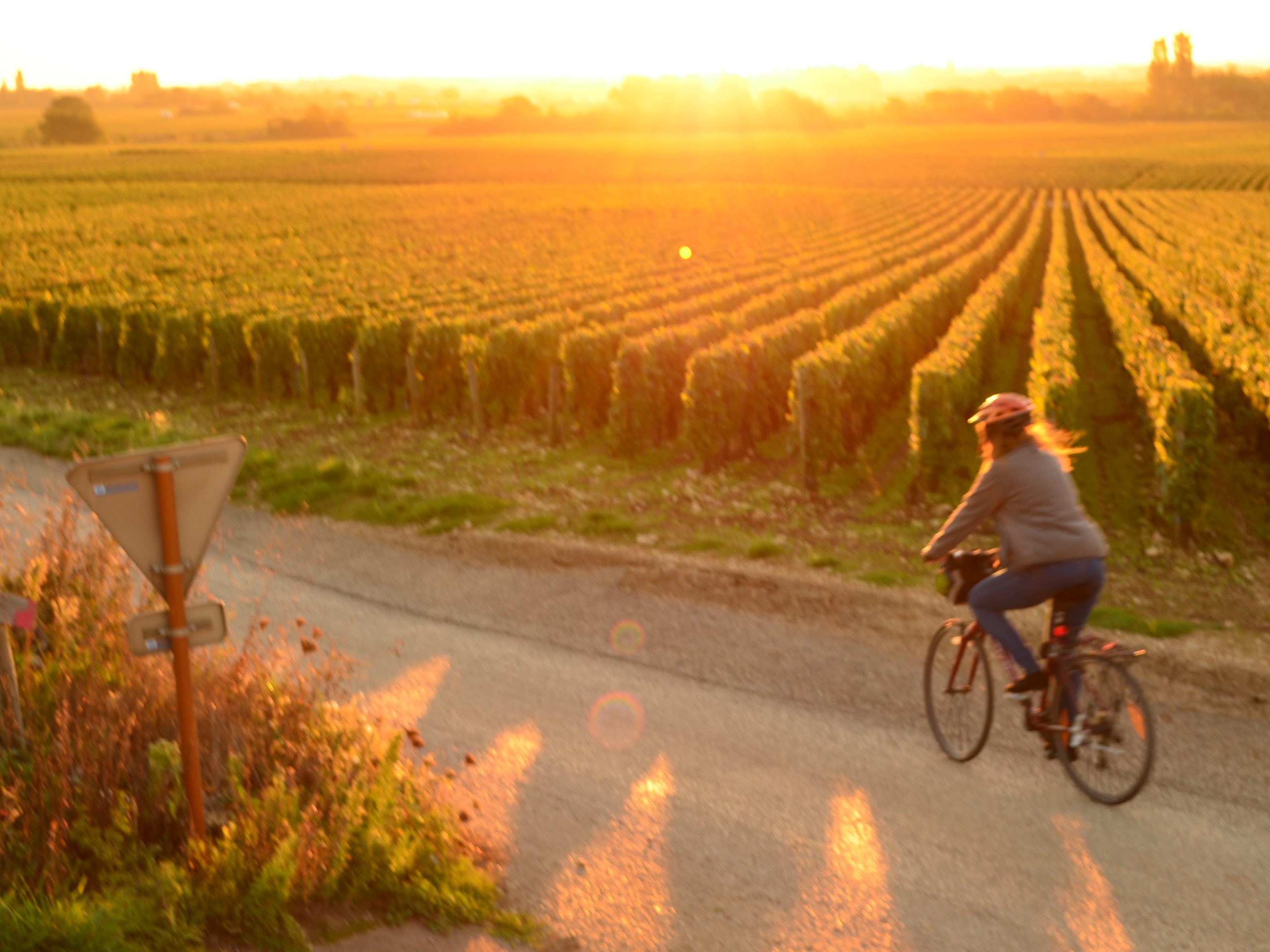 Cycling in Beaune region, Burgundy 52