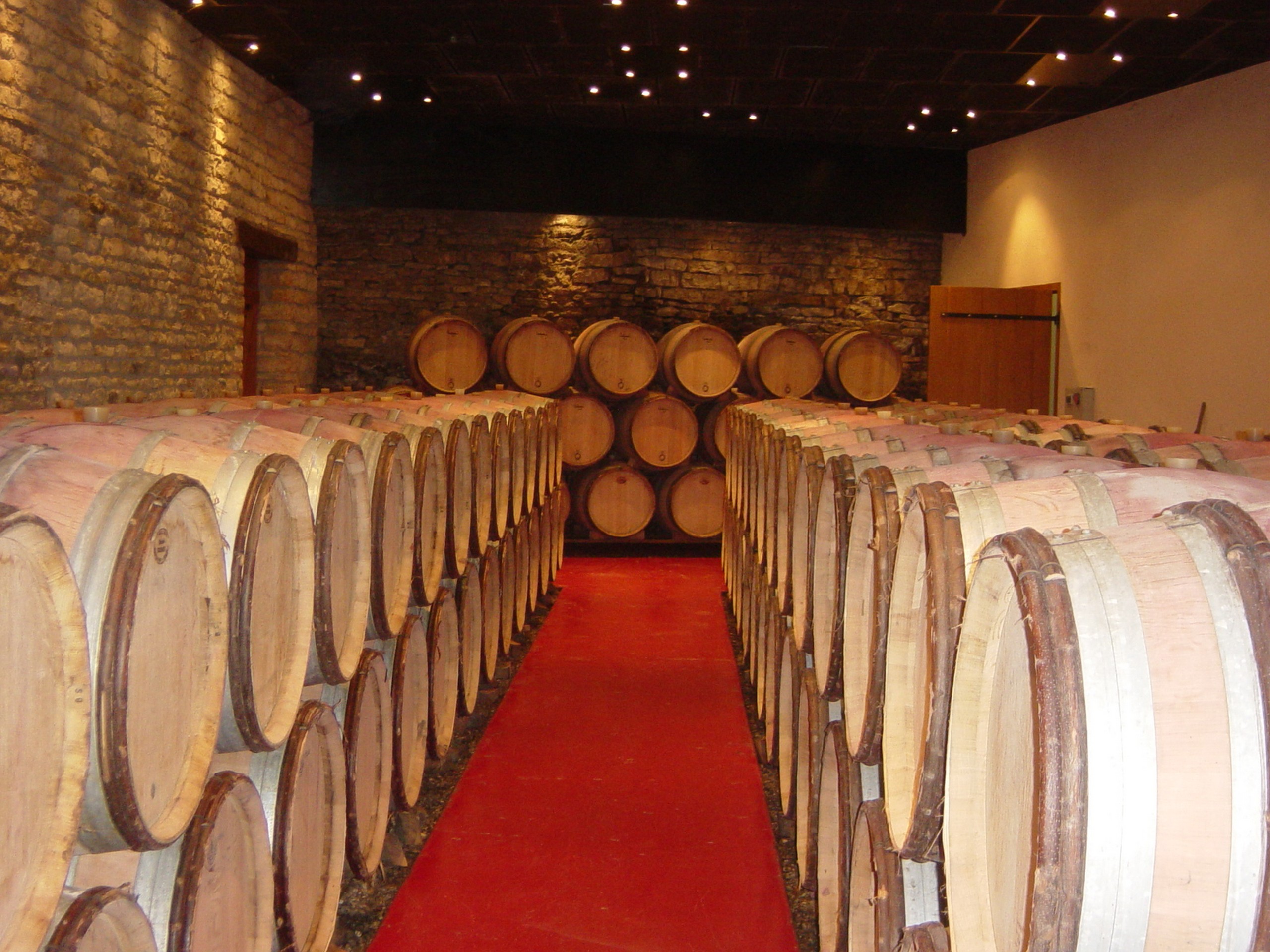 Cycling in Beaune region, Burgundy 63