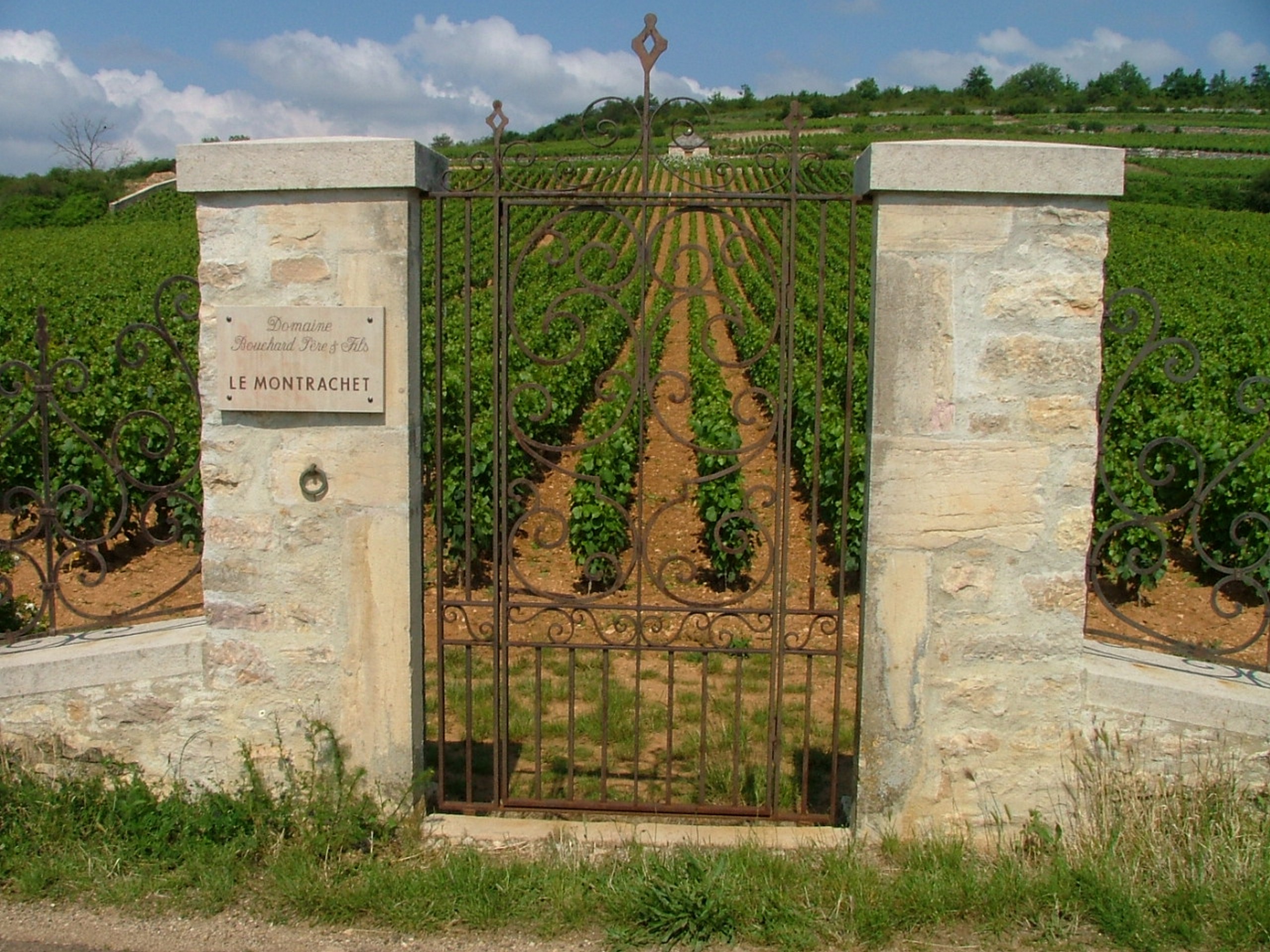 Cycling in Beaune region, Burgundy 65