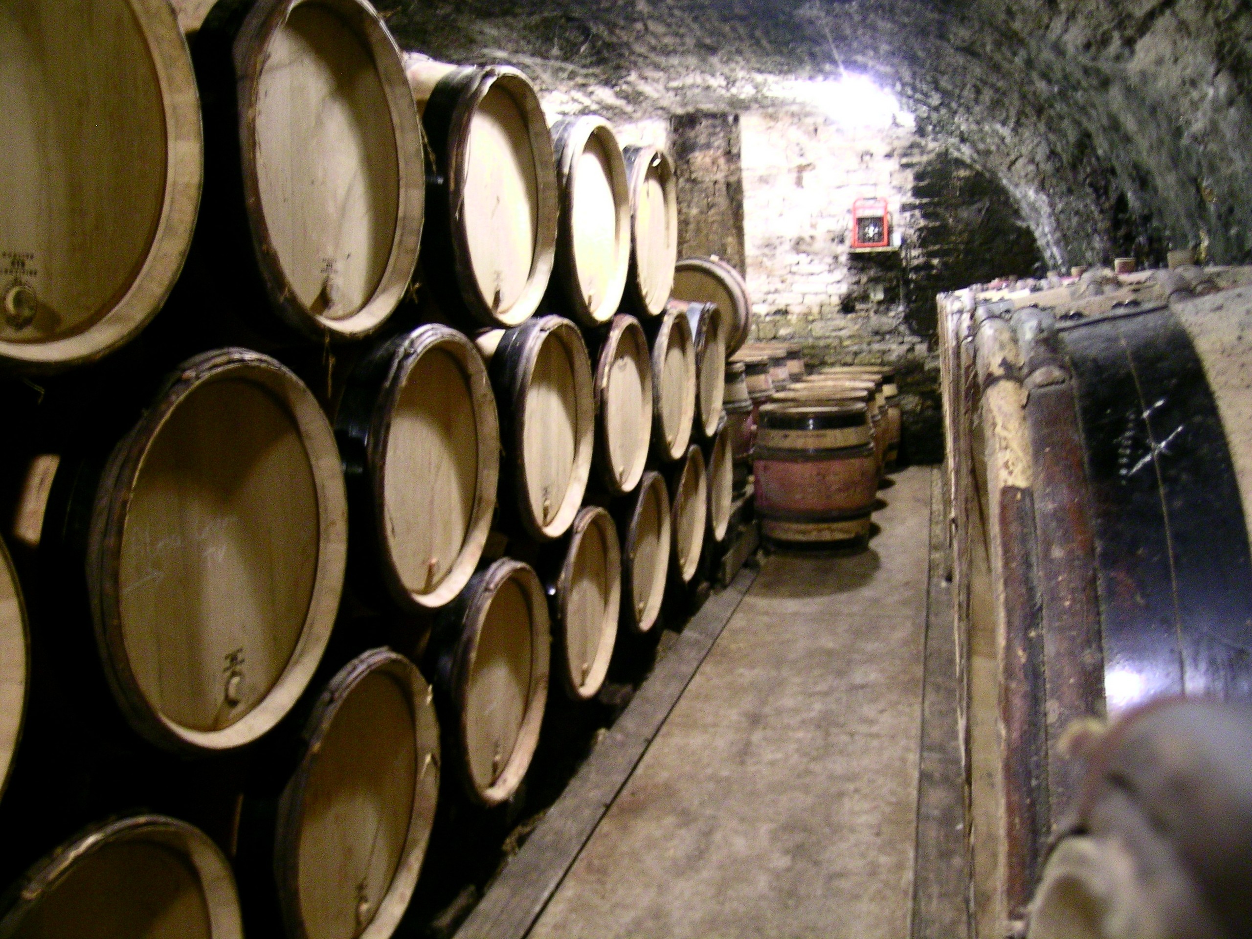 Cycling in Beaune region, Burgundy 66