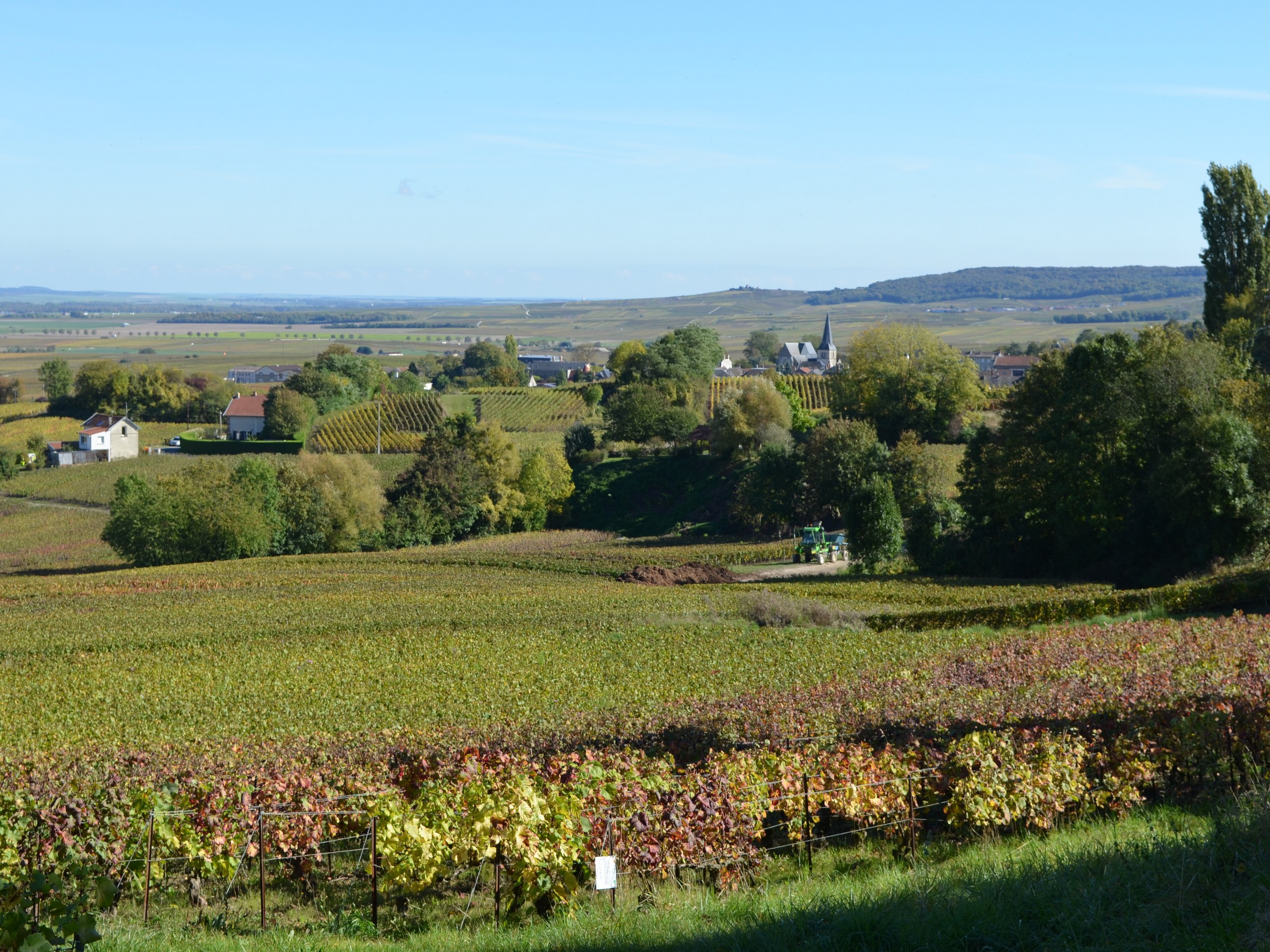 Self-guide Champagne Region Biking Tour 06