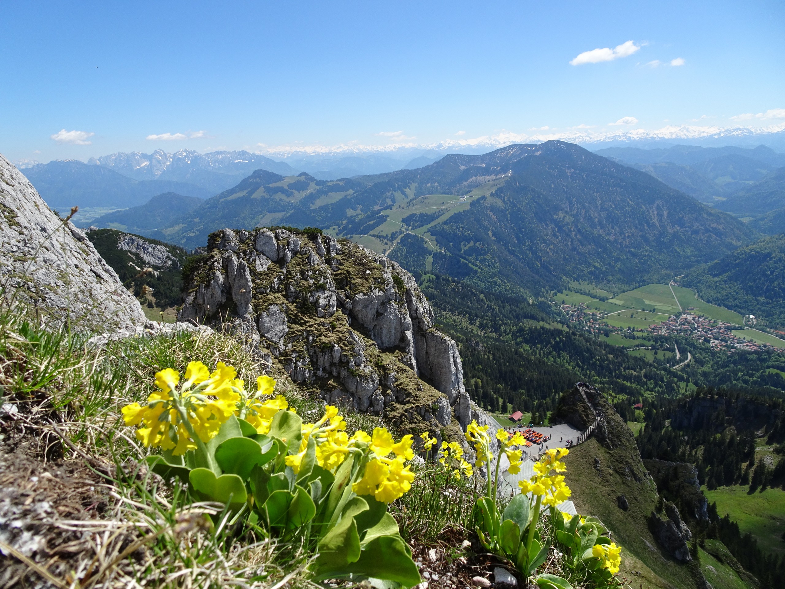 Bavarian Alps and Lakes Self-guided Hiking Tour eurohike-bayerns-alpen-seen-berge-almblumen