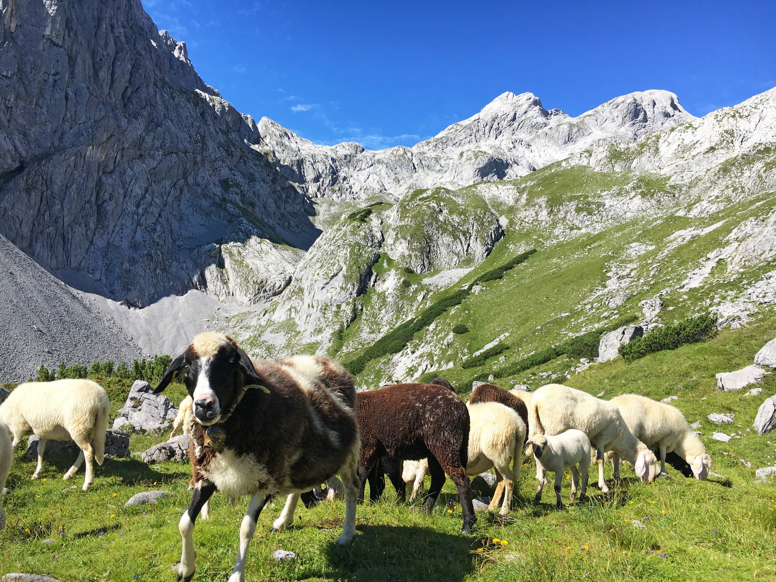Bavarian and Salzburg Alps Self-guided Hiking Tour eurohike-wanderreisen-bayerische-und-salzburger 16