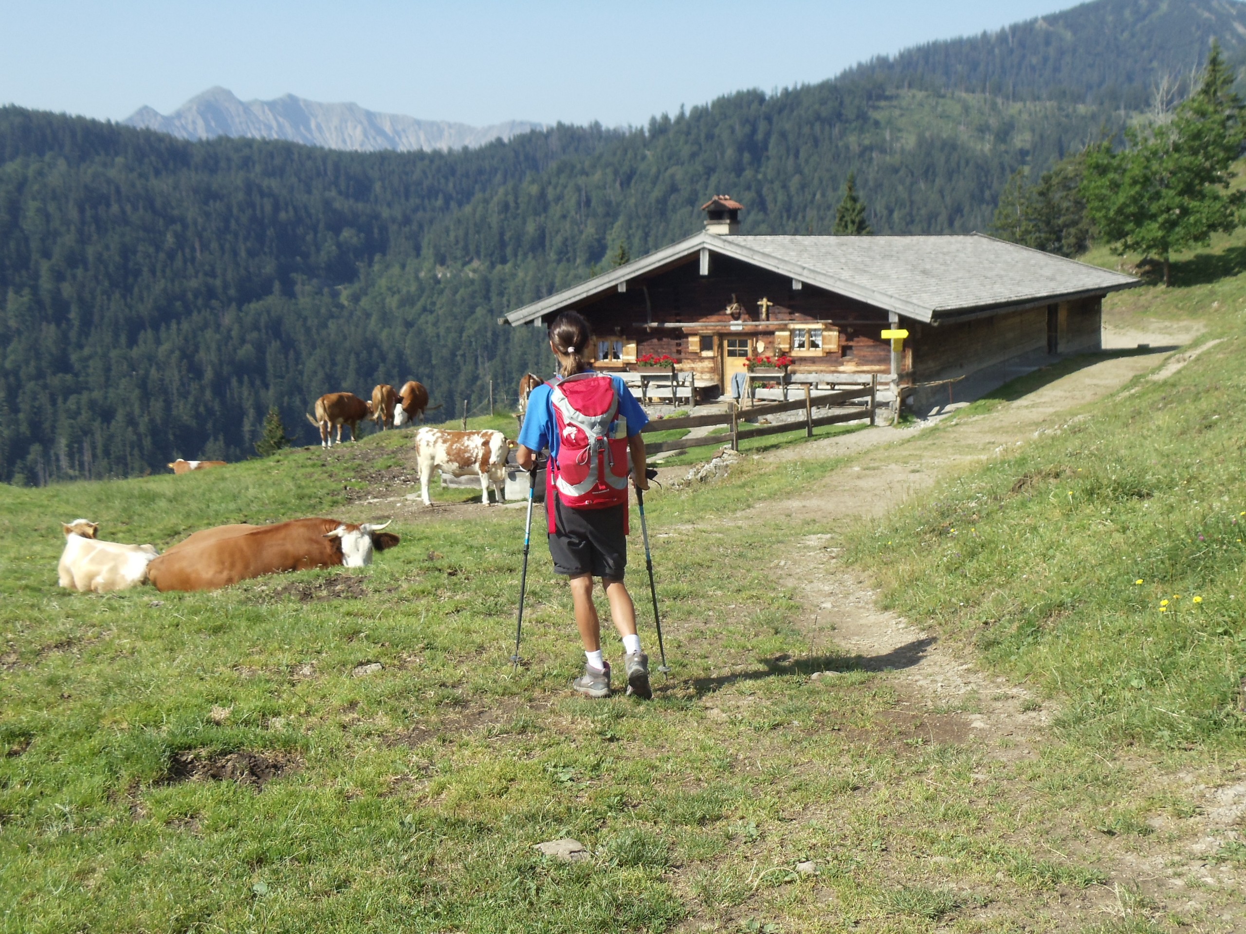 Bavarian Alps and Lakes Self-guided Hiking Tour Bayerische Alpen_Alm_Wanderer_1