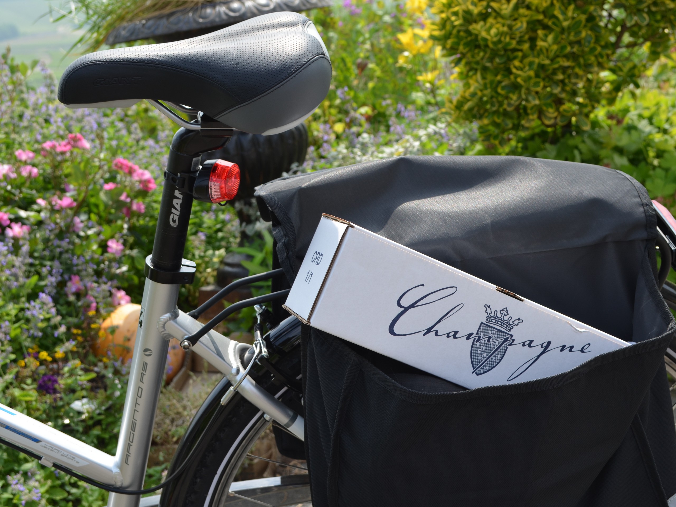 Self-guided Champagne Region biking tour in France 17