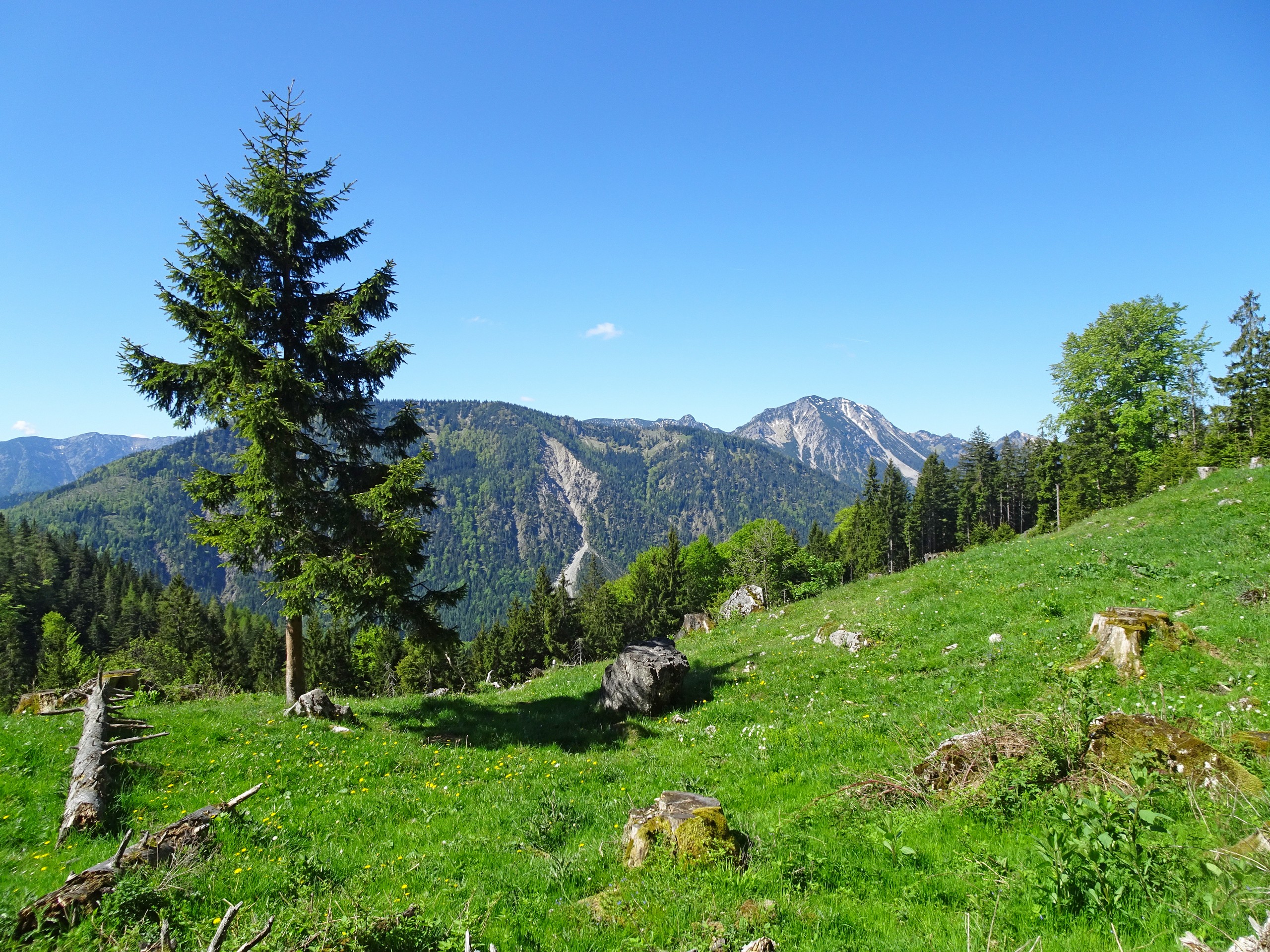 Bavarian Alps and Lakes Self-guided Hiking Tour eurohike-wanderreise-bayerns-alpen-seen-impressione