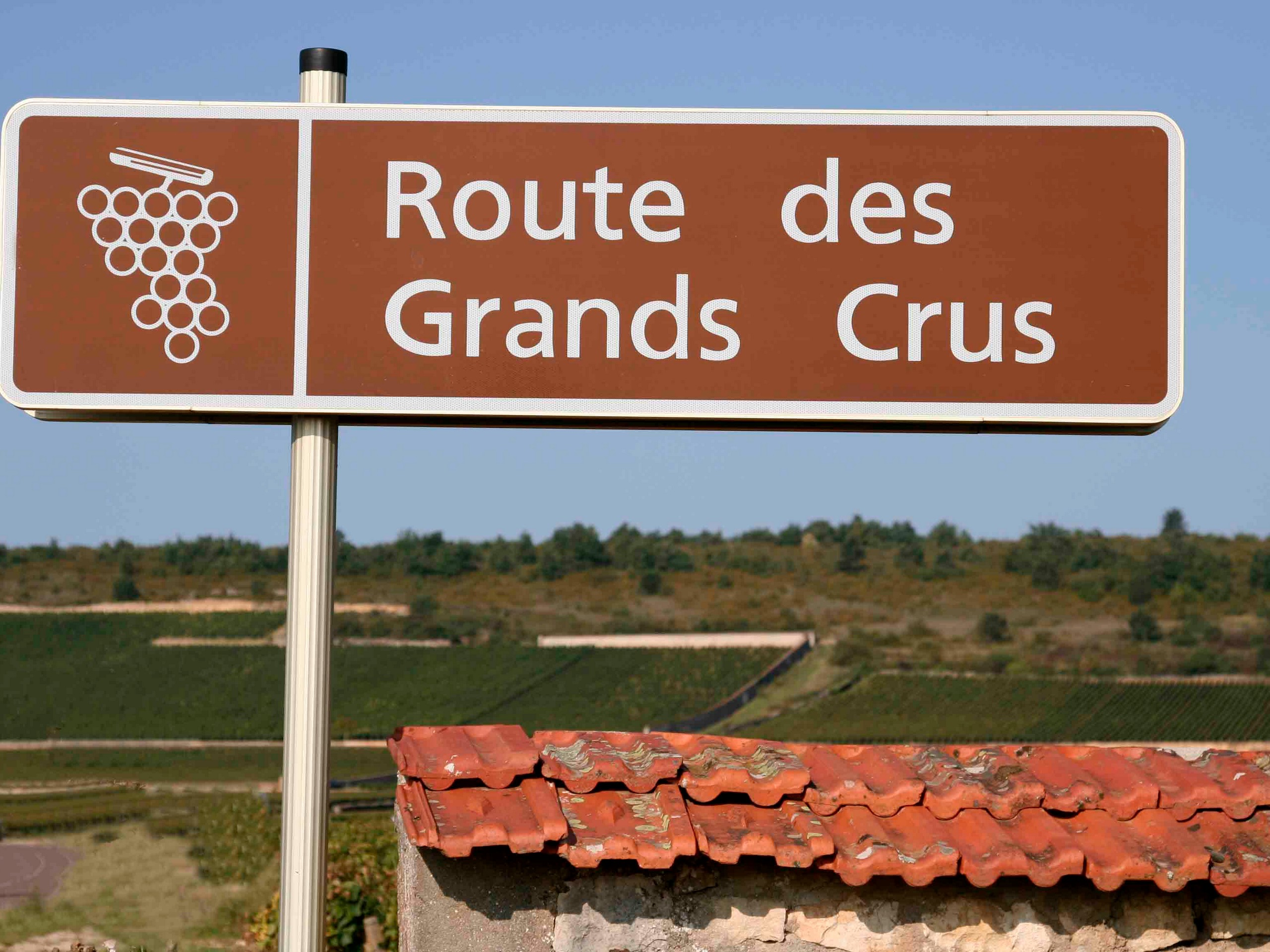 Cycling in Beaune region, Burgundy 03