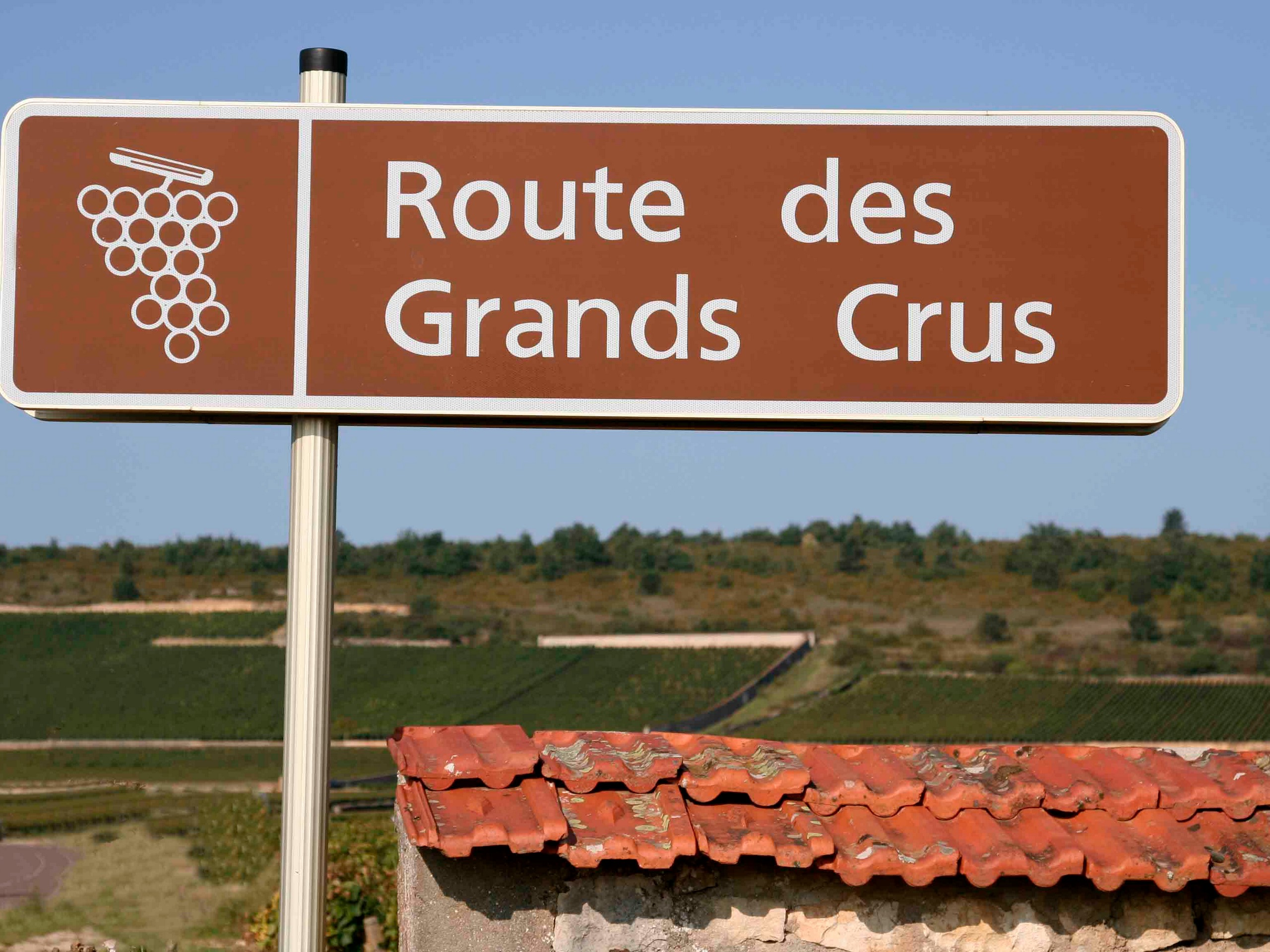 Self-guided Chablis Bike Tour in France 02